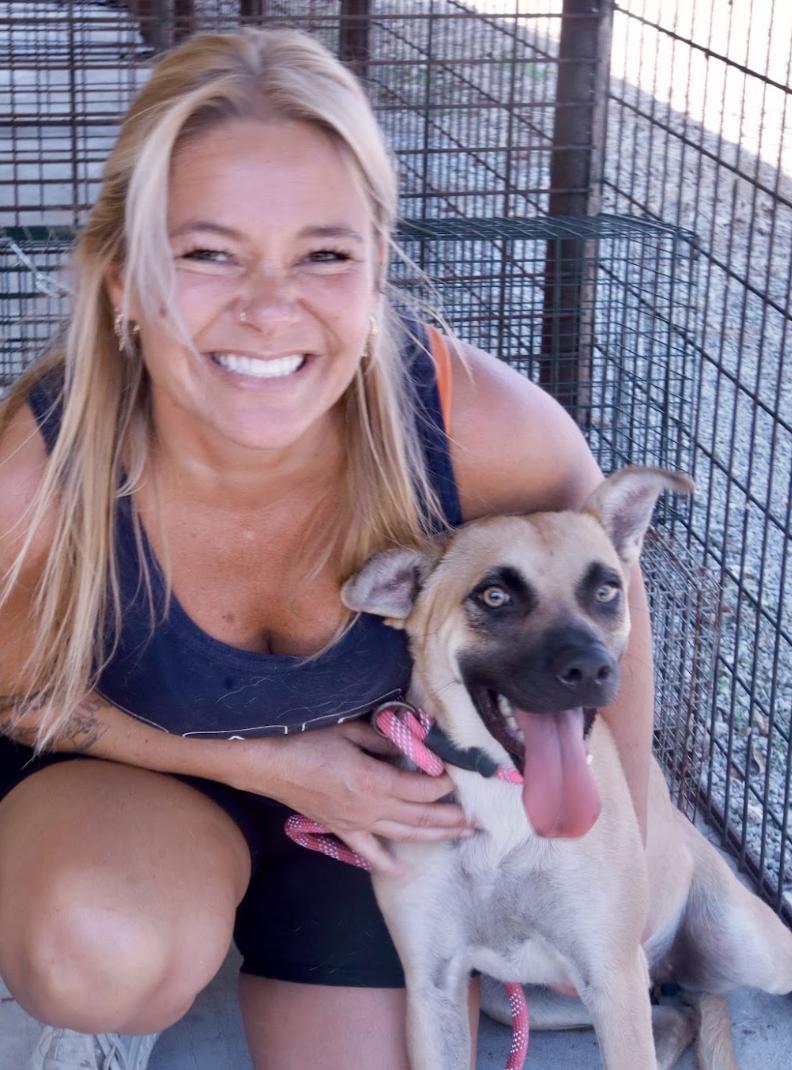 Enlarge Carolina, a Adoptable mixed breed in Nashville, TN image 2/6