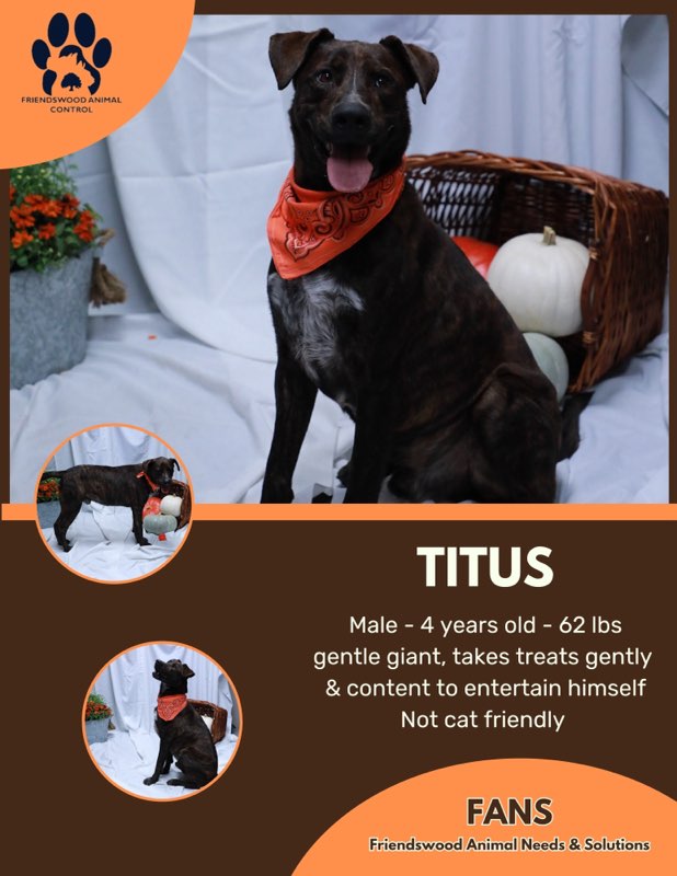 Titus 3