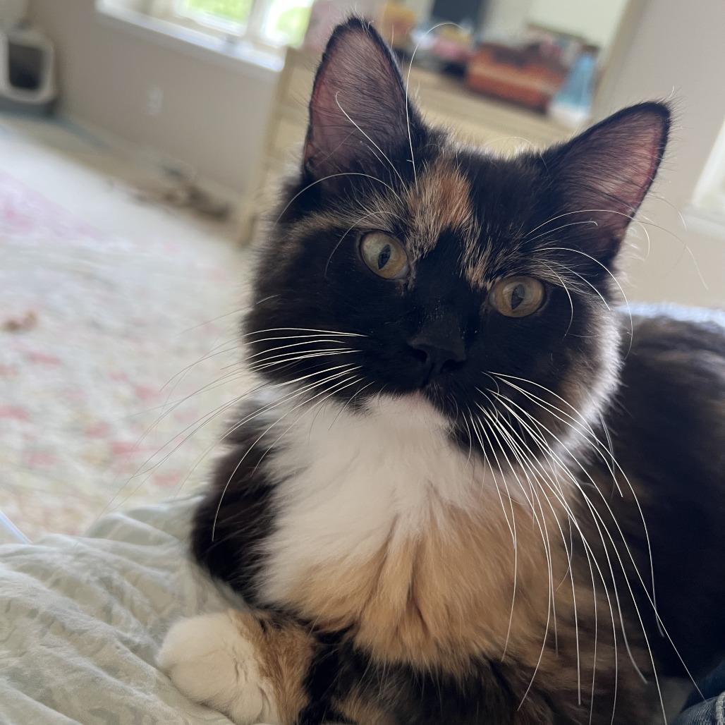 Freya photo