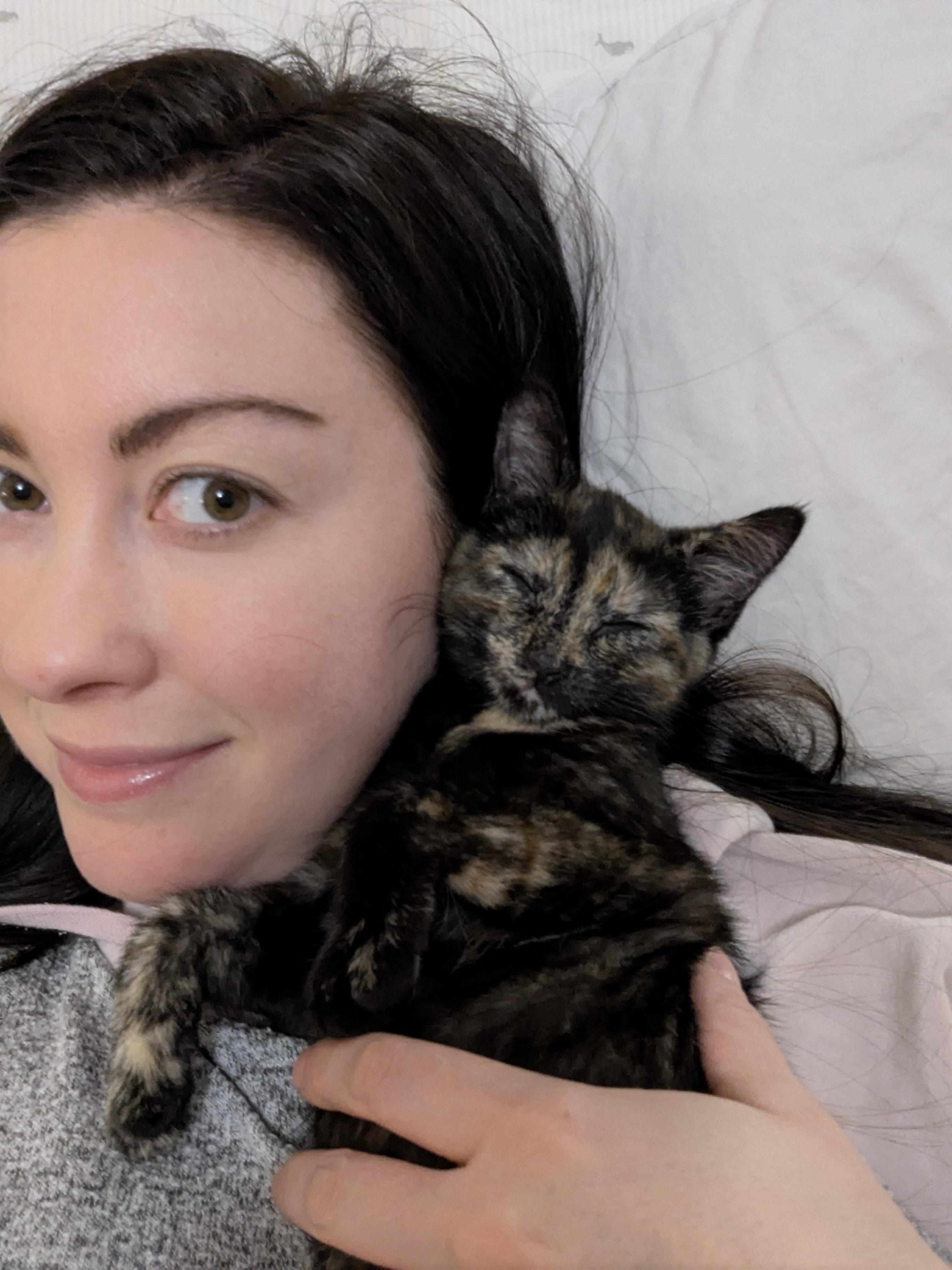 Enlarge Ava, a ADOPTABLE Tortoiseshell in Columbus, OH image 2/5