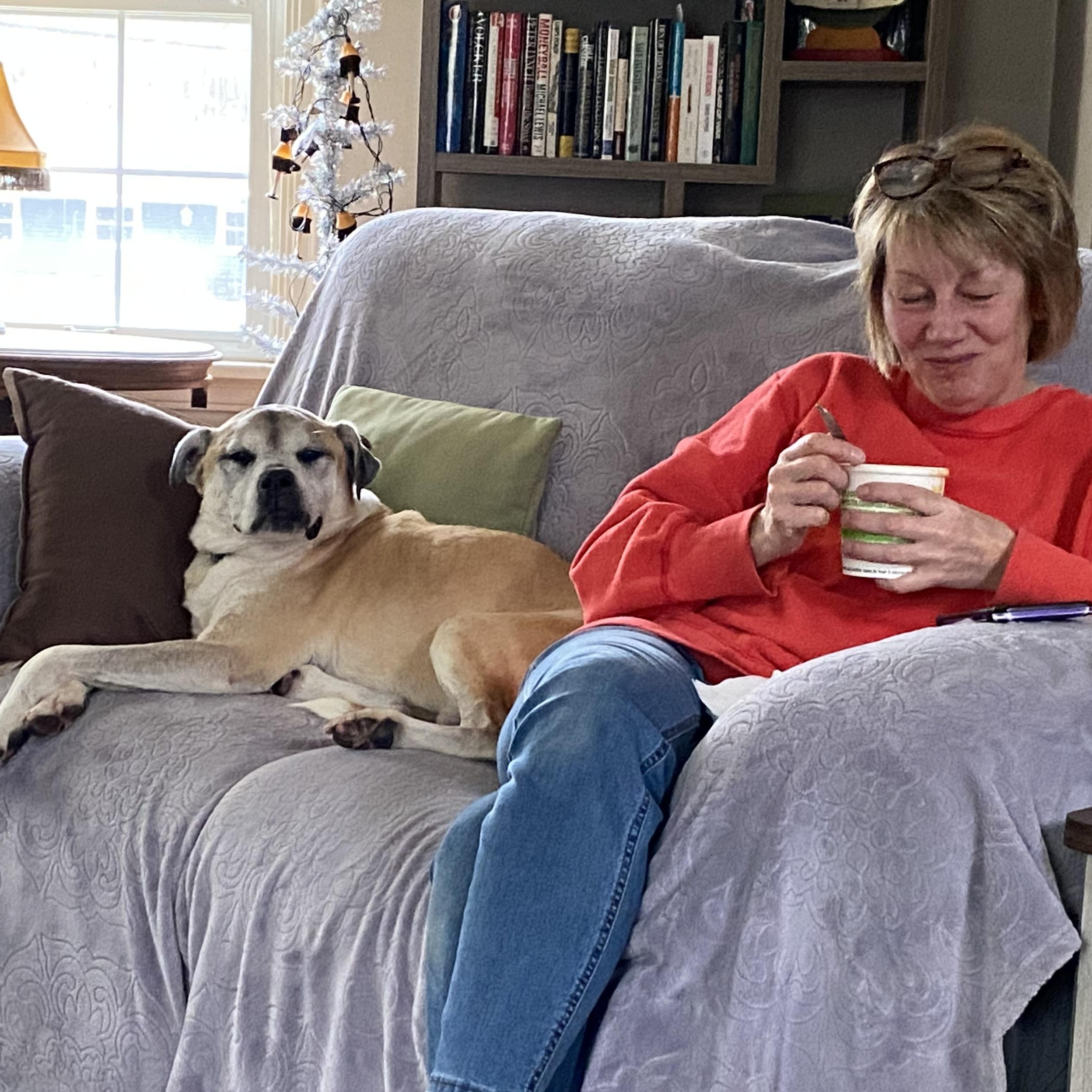 Enlarge Heimdall, a Adoptable mixed breed in Elyria, OH image 6/6