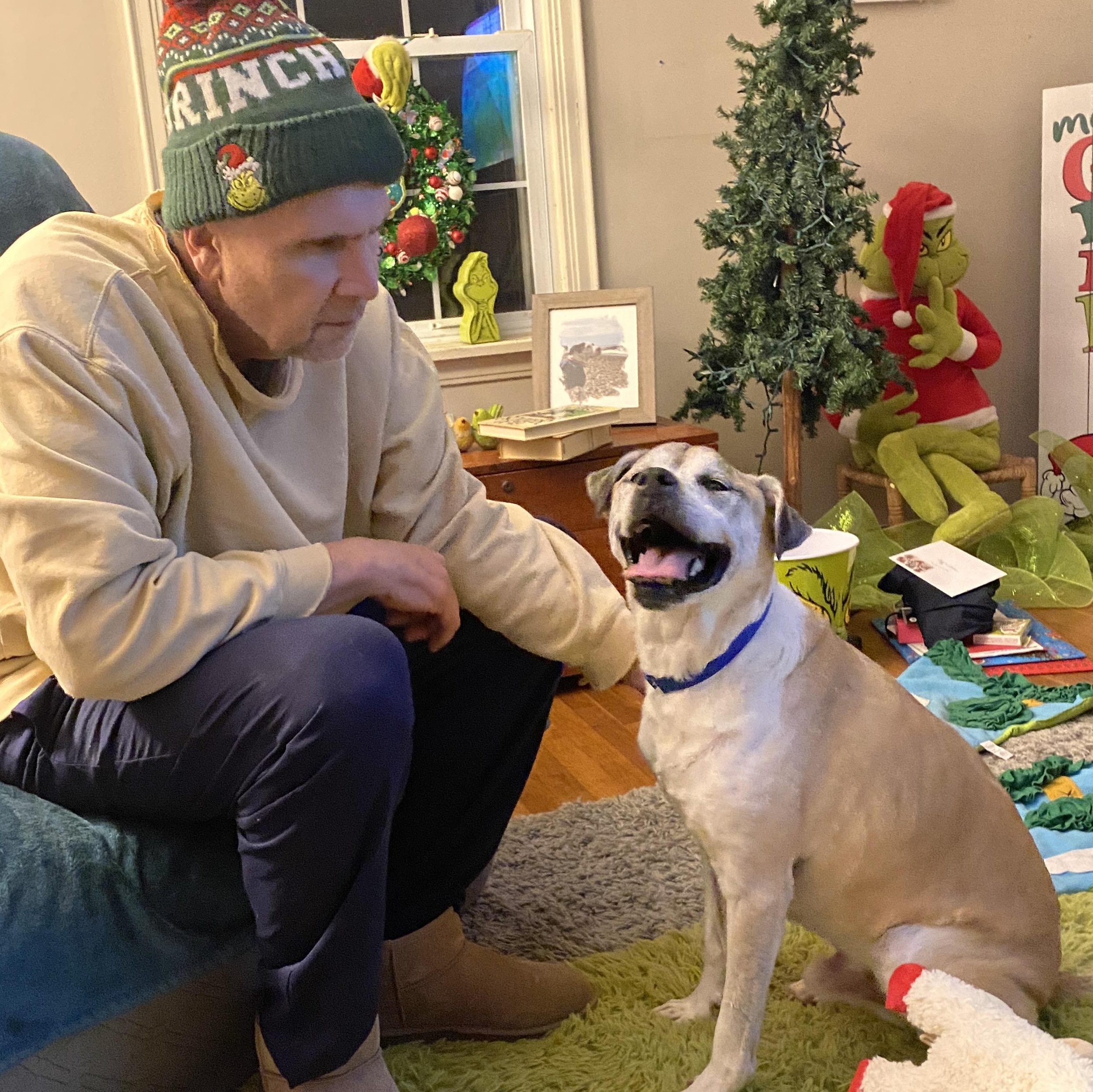 Enlarge Heimdall, a Adoptable mixed breed in Elyria, OH image 4/6