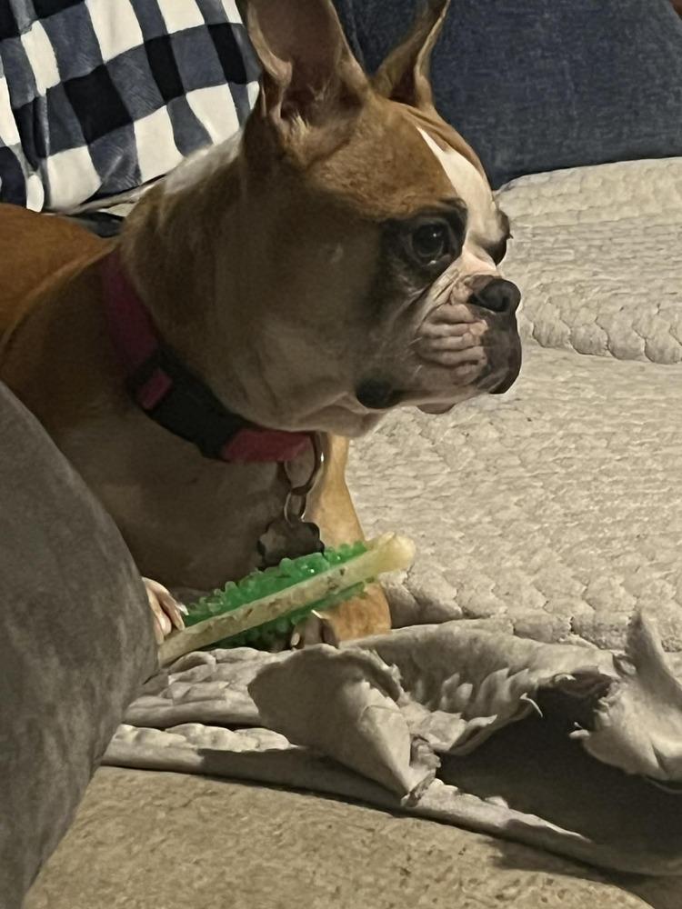 Shelby Agnus Workman Chattanooga thumbnail 3