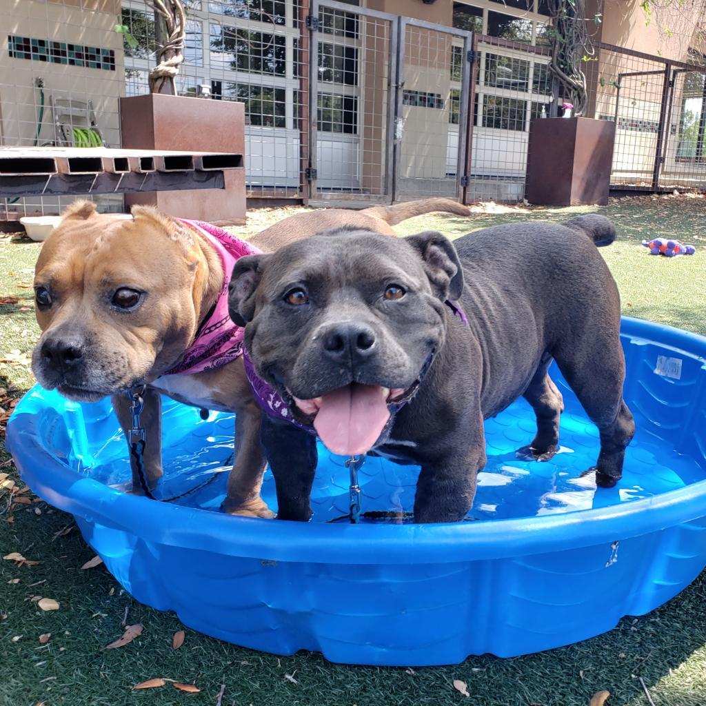 Barb — thumbnail 4