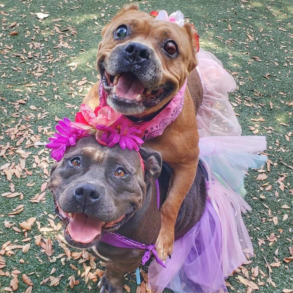 Barb — thumbnail 5