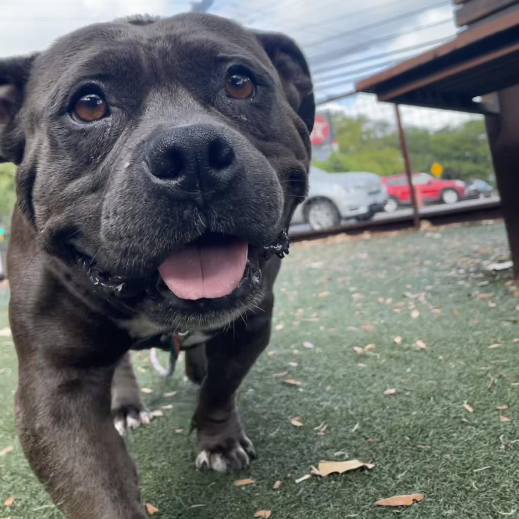 Barb — thumbnail 6