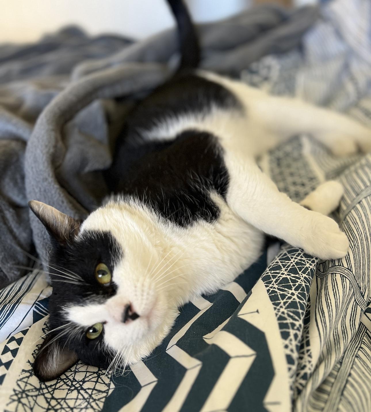 Teams — thumbnail 3