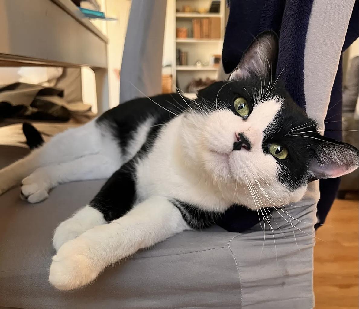 Teams — thumbnail 4