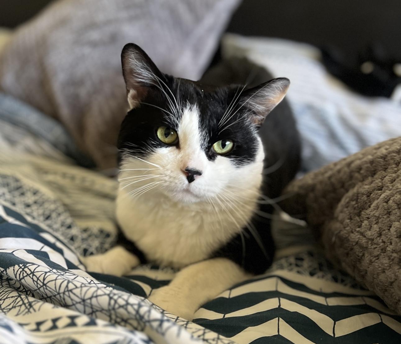 Teams — thumbnail 5