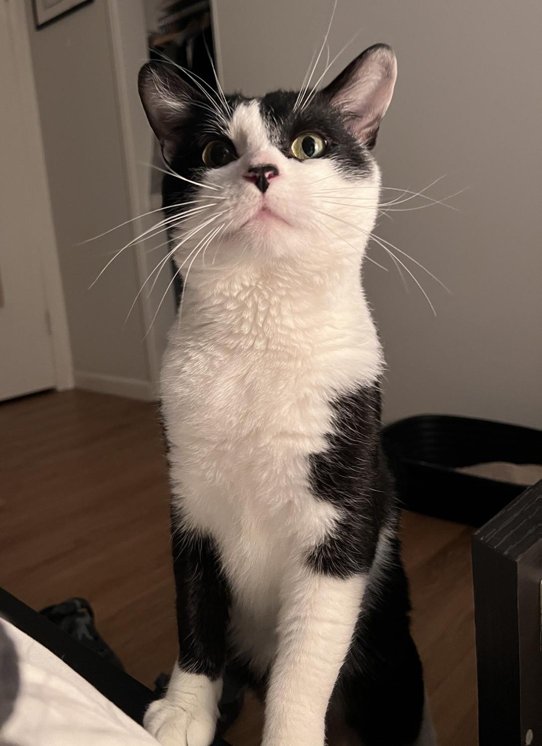 Teams — thumbnail 6