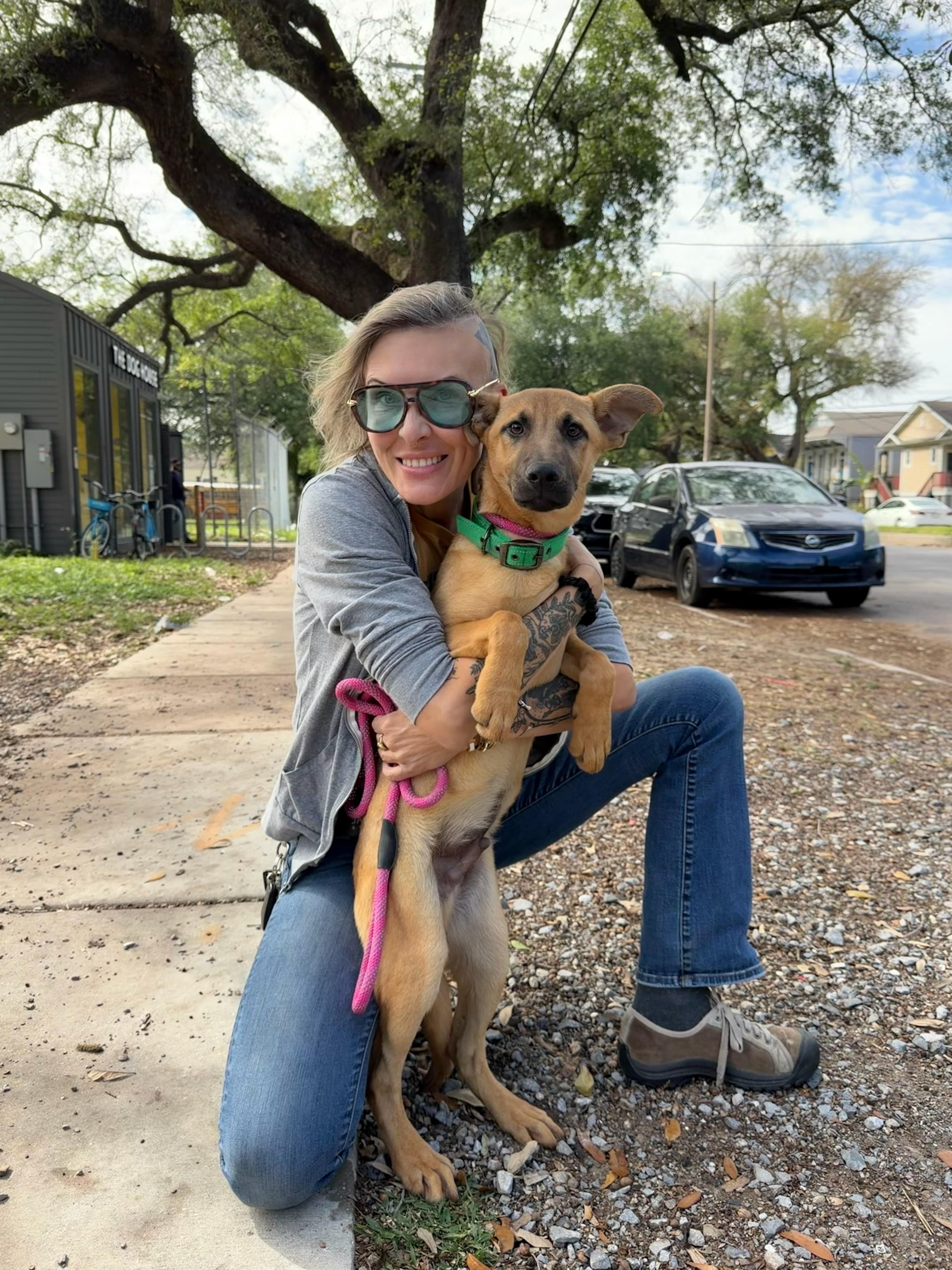 Enlarge Diego, a ADOPTABLE mixed breed in New Orleans, LA image 1/3
