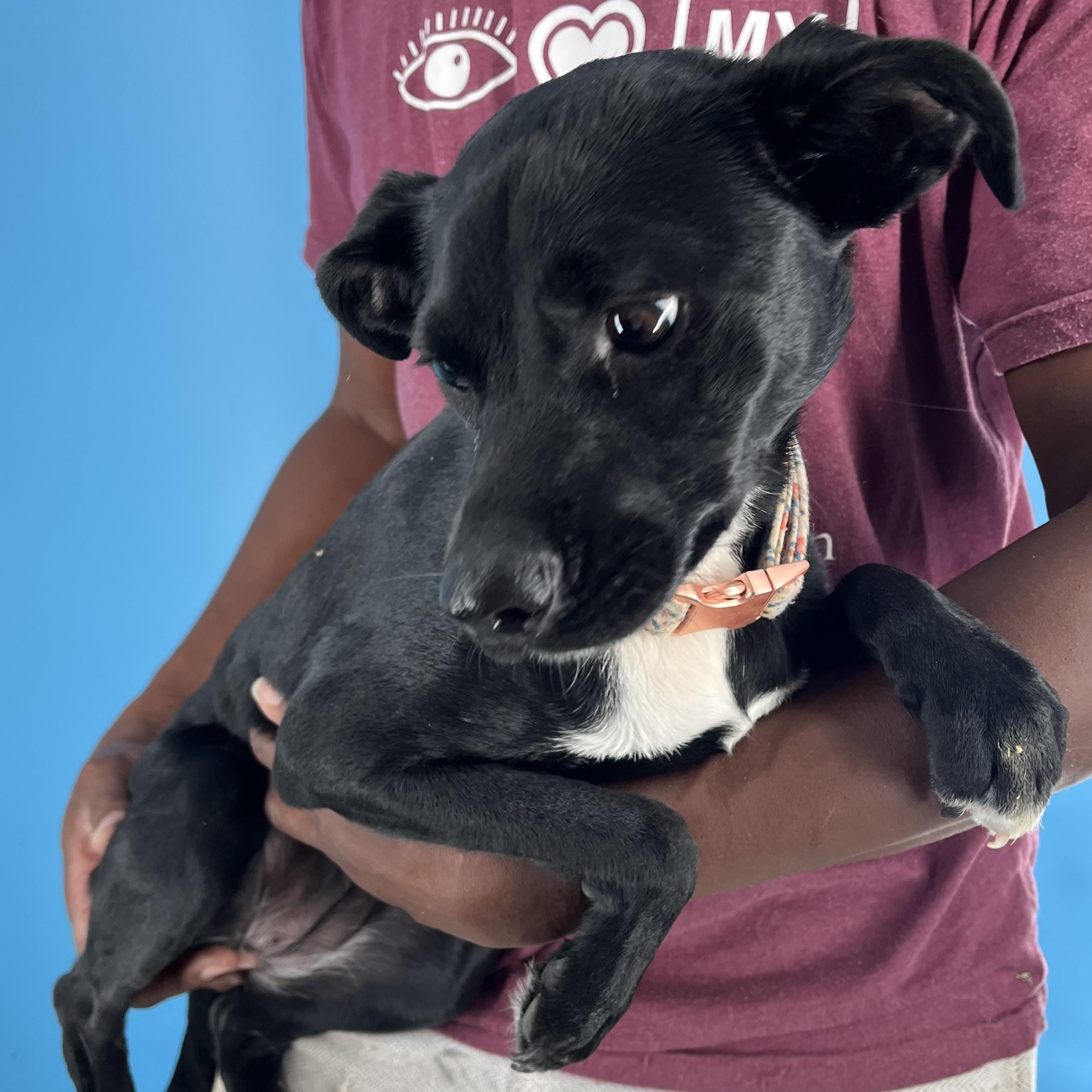 Mia - Local Sept 26-28