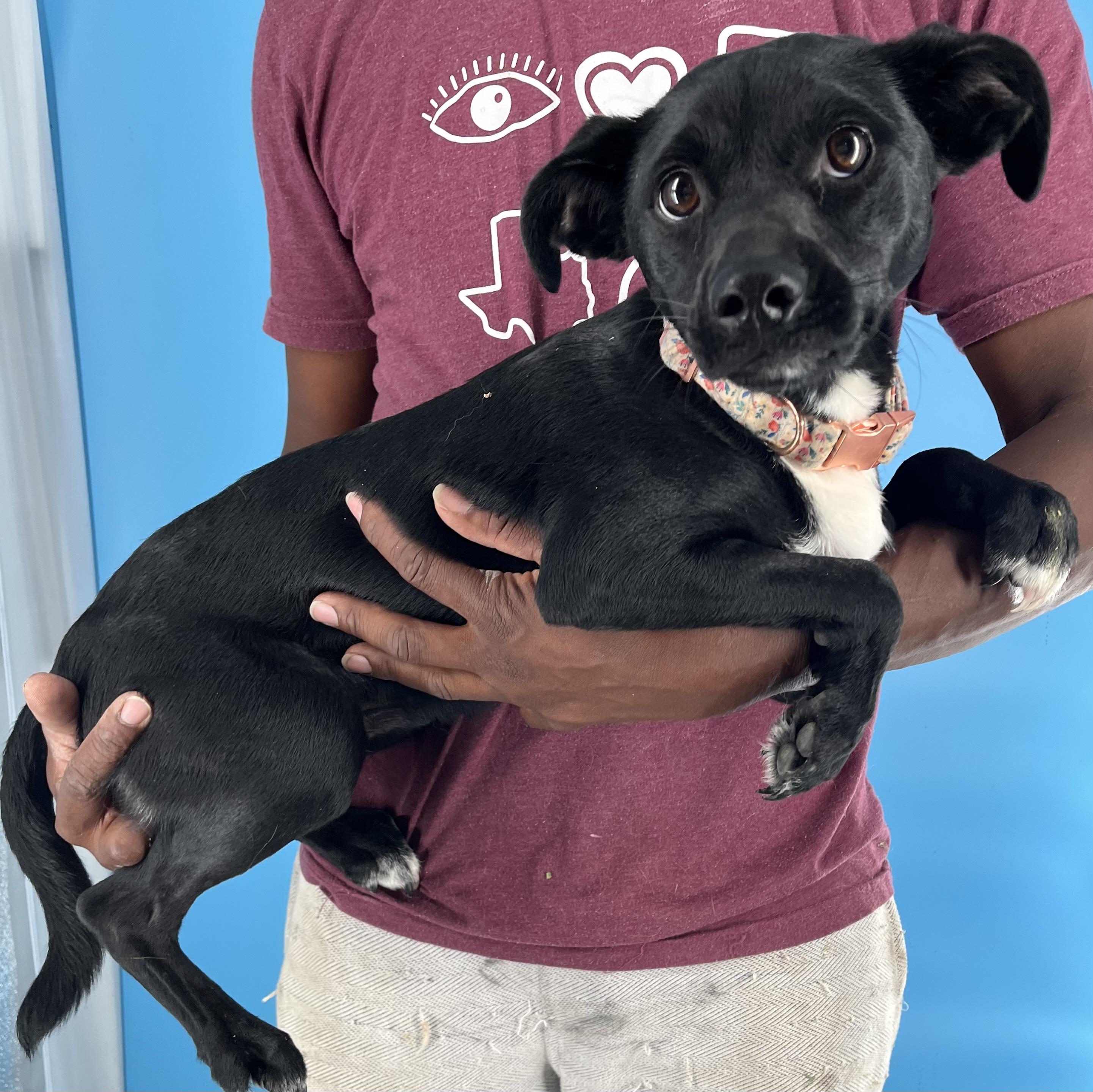 Mia - Local Sept 26-28