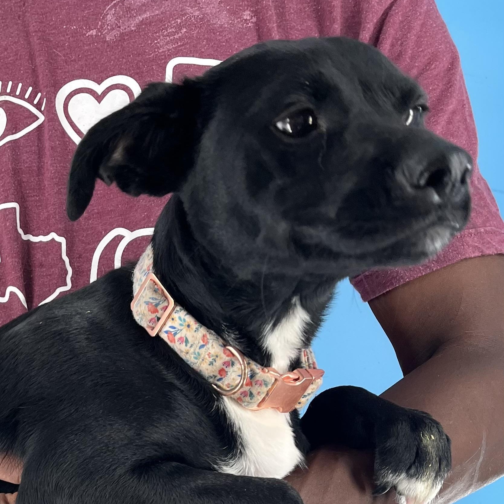 Mia - Local Sept 26-28