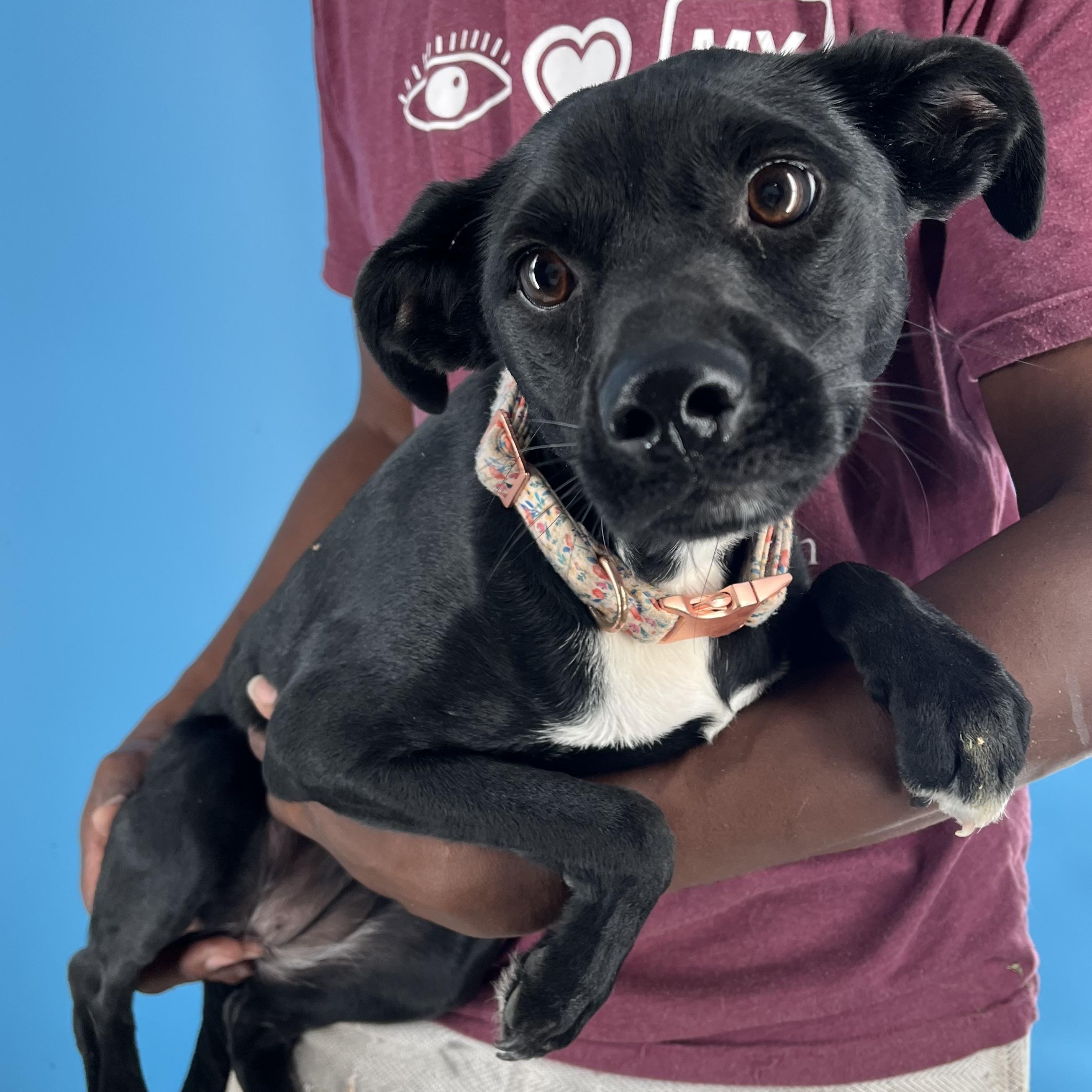 Mia - Local Sept 26-28