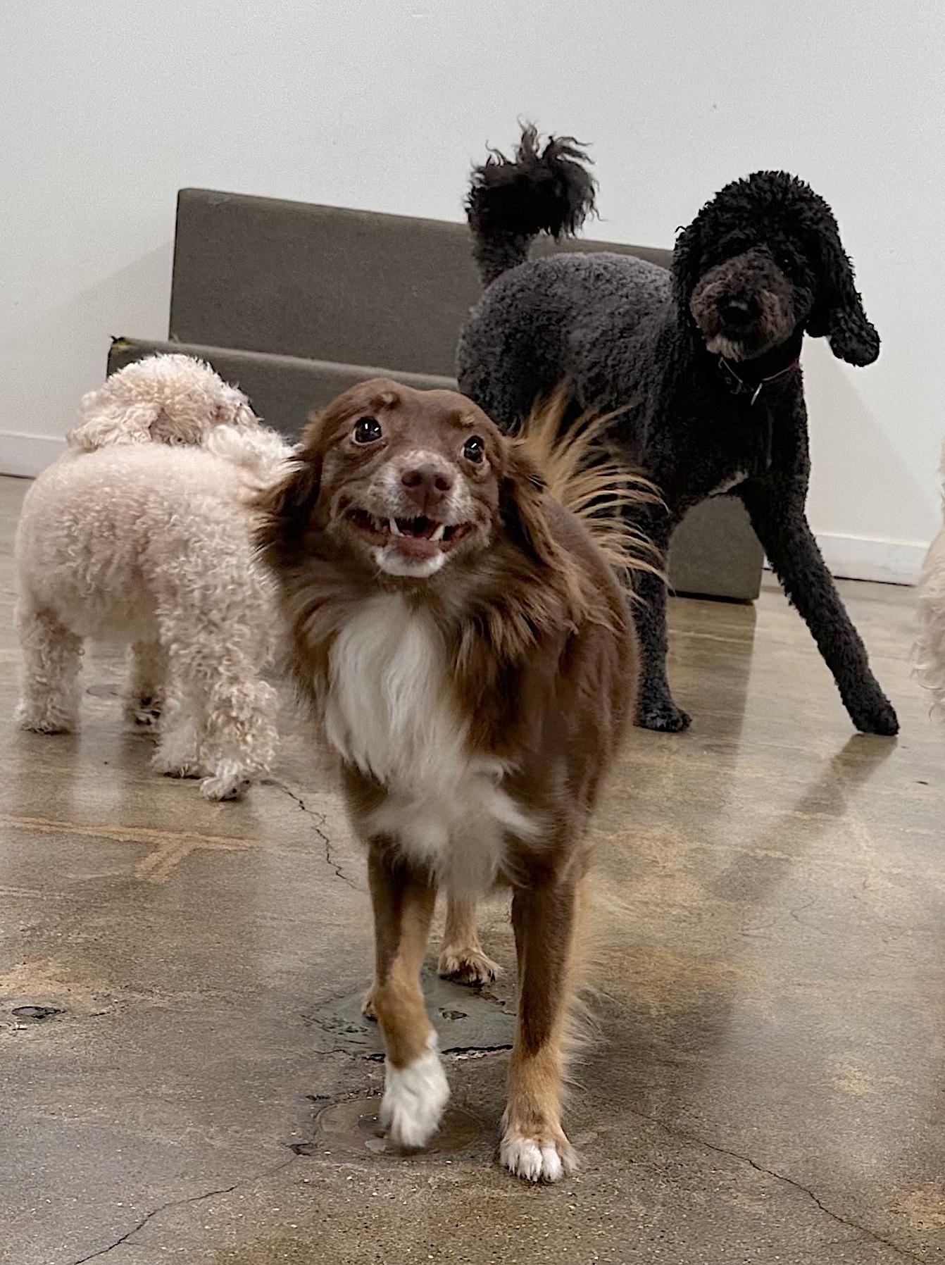 Claire — thumbnail 6