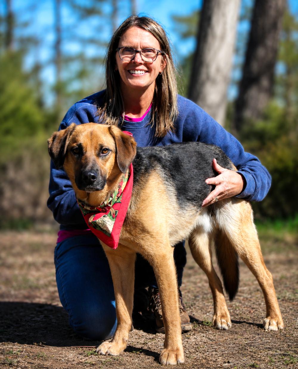 Duke, ADOPTABLE, Adult Male German Shepherd Dog.