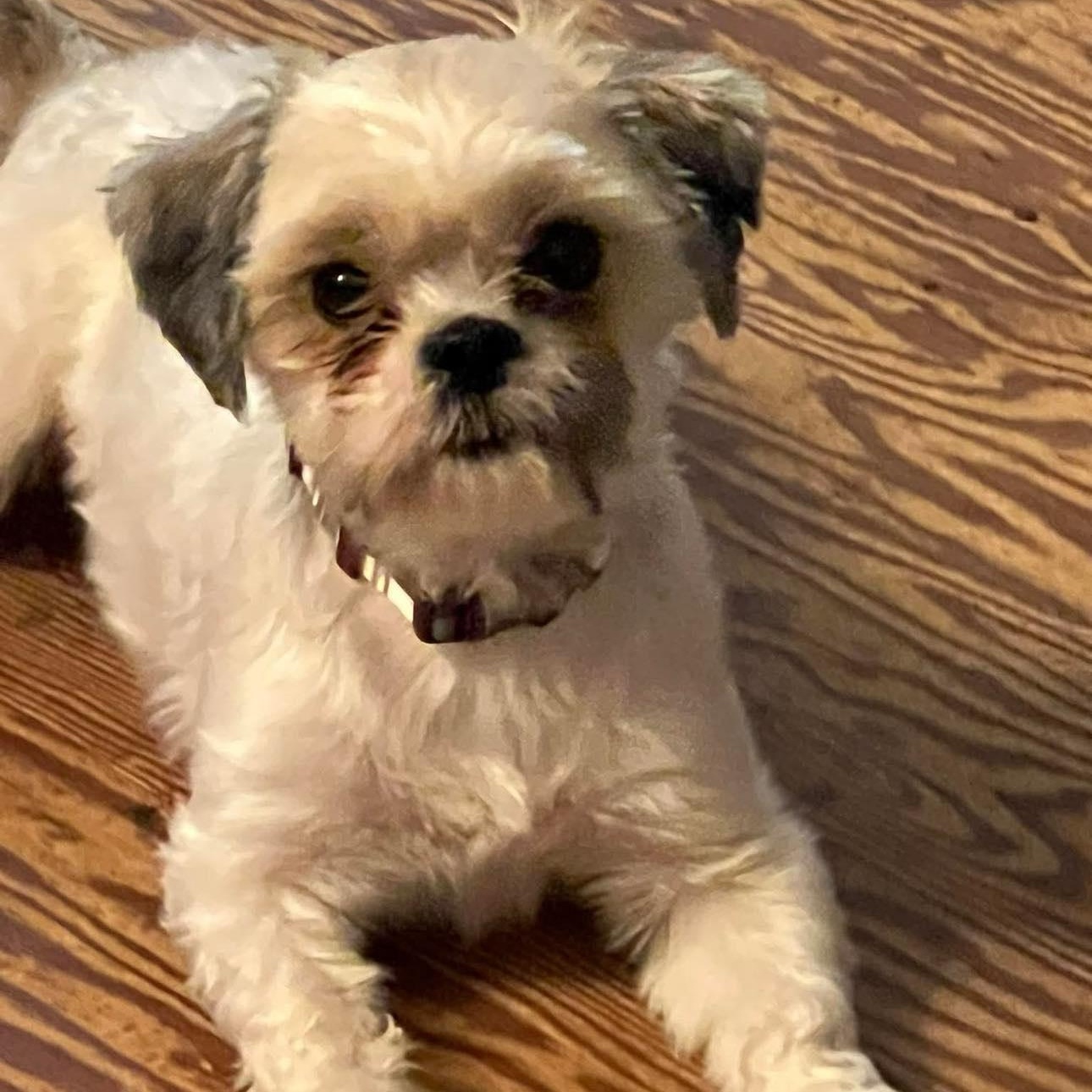 Sophie