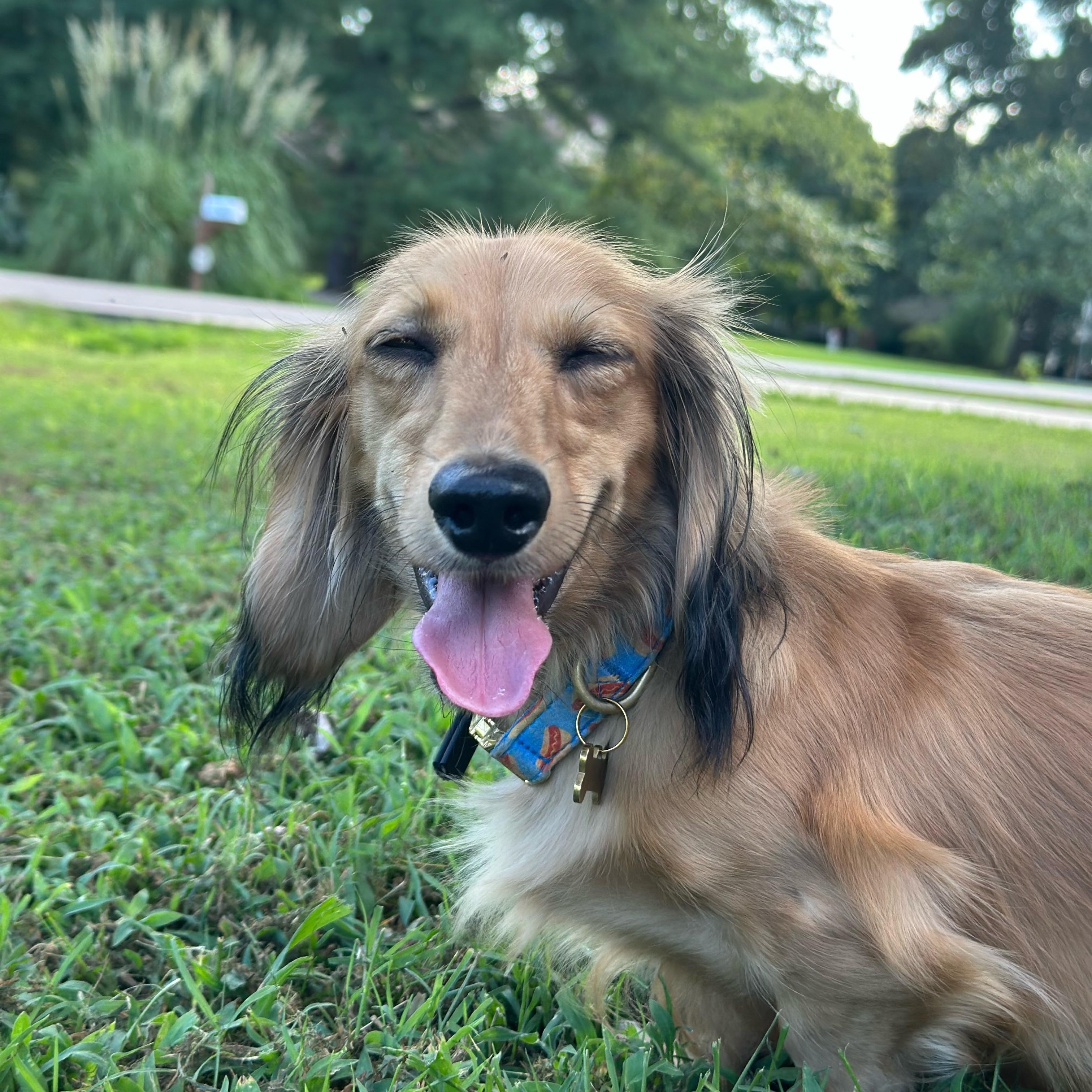 Oscar