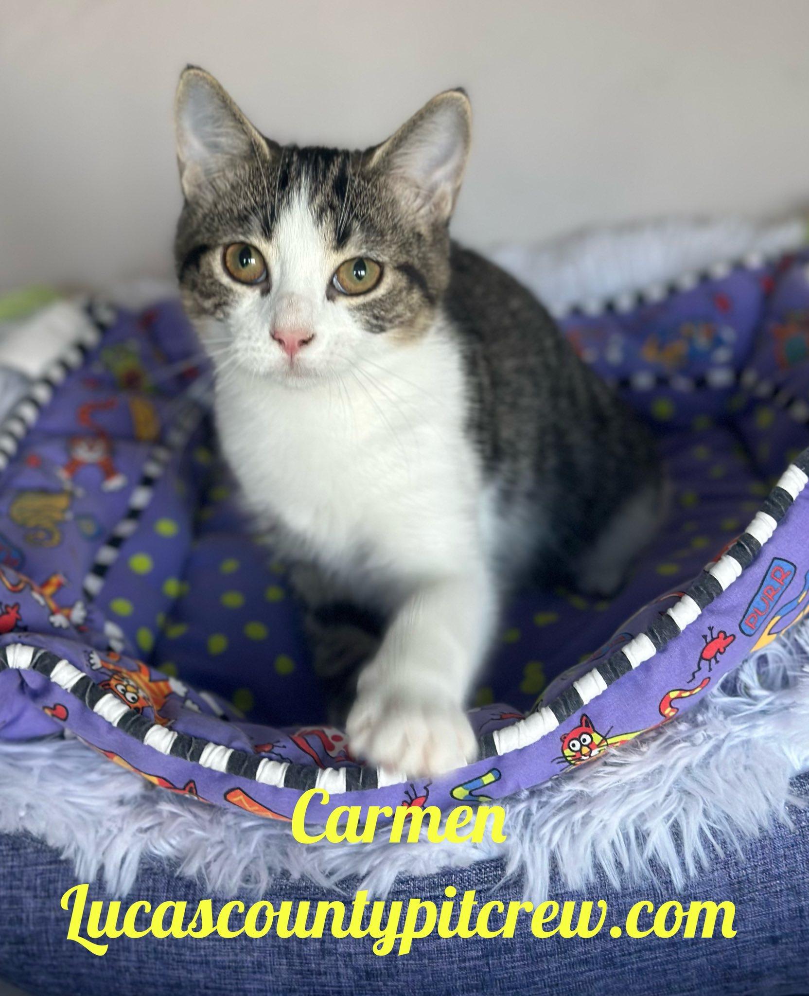 Carmen