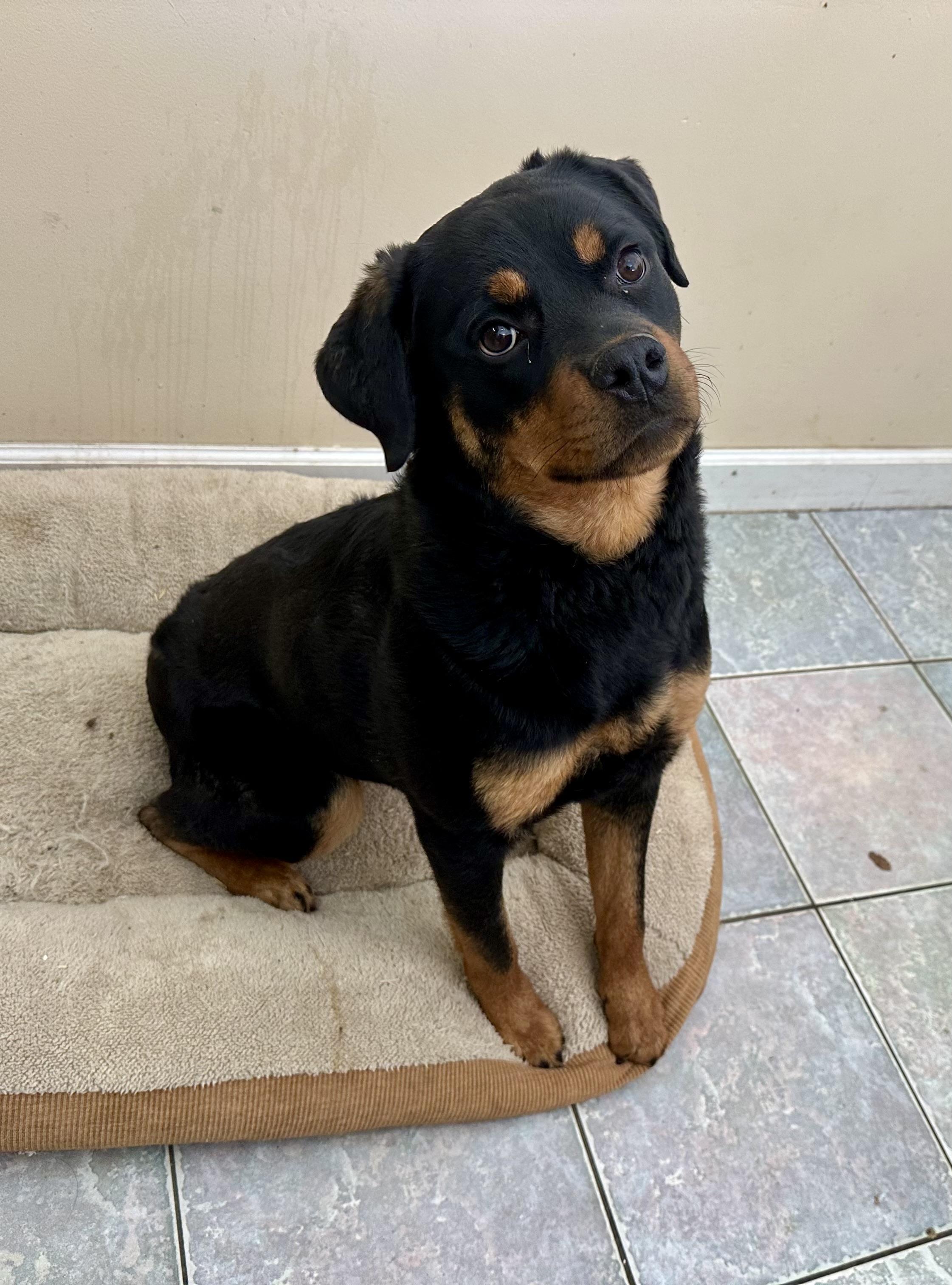 Lookin For Some Company? thumbnail 2