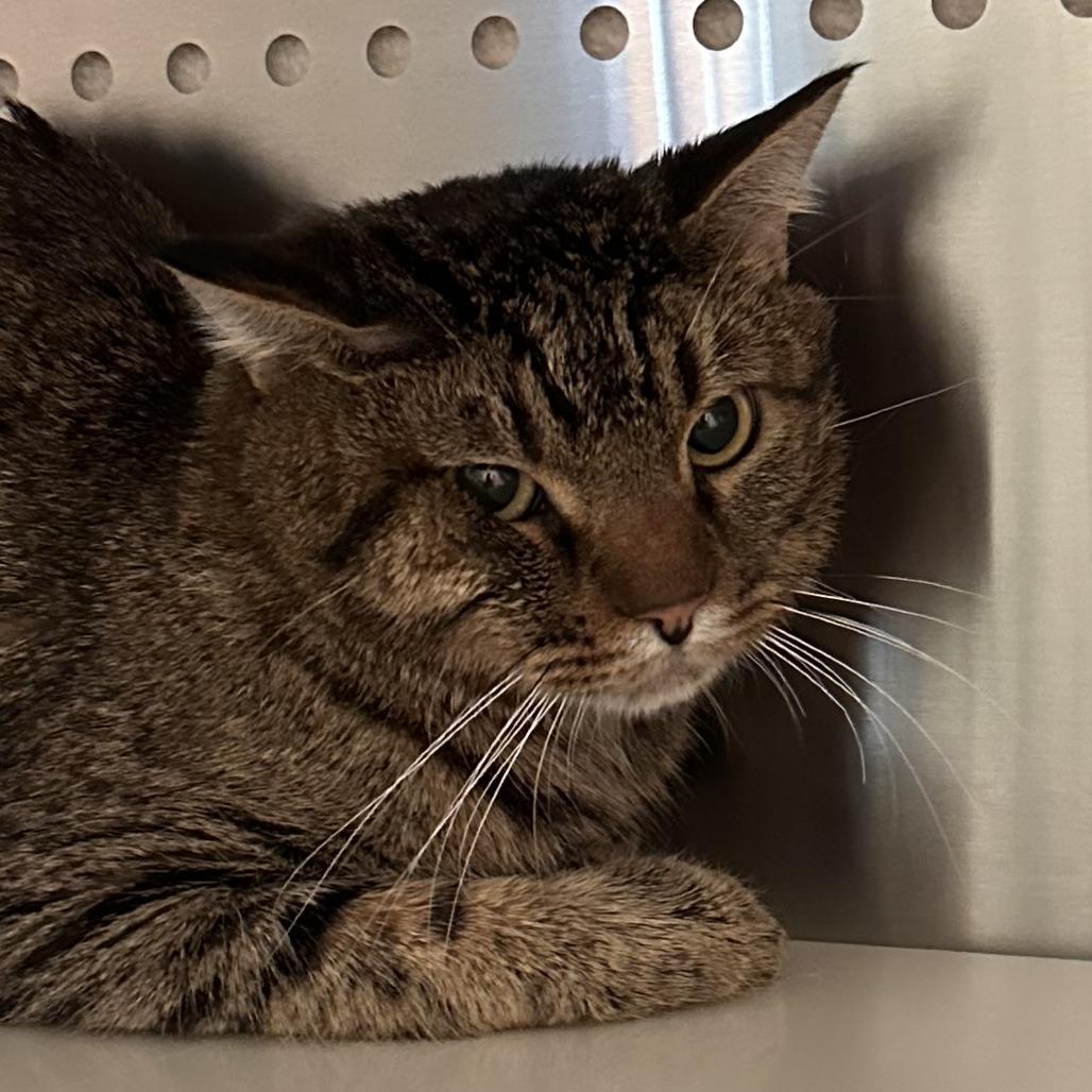 Frank — thumbnail 2