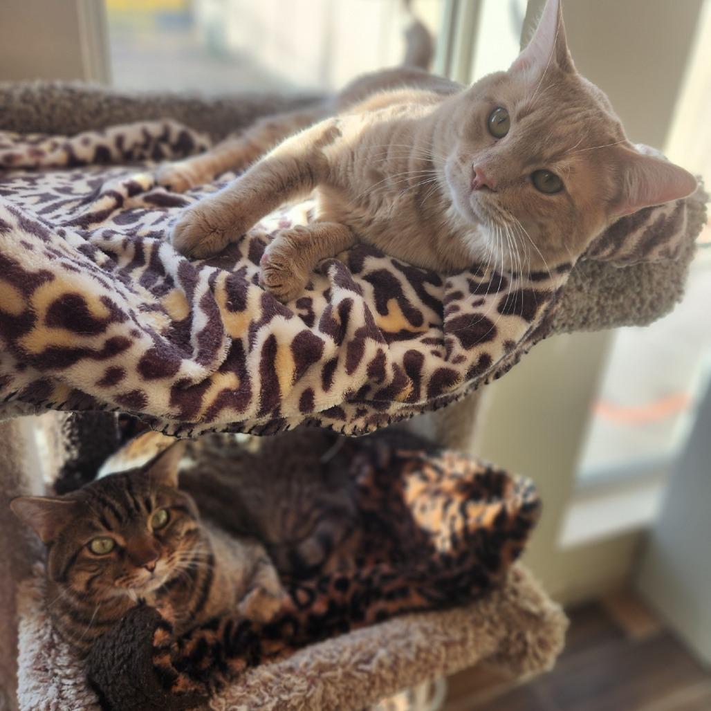 Frank — thumbnail 3