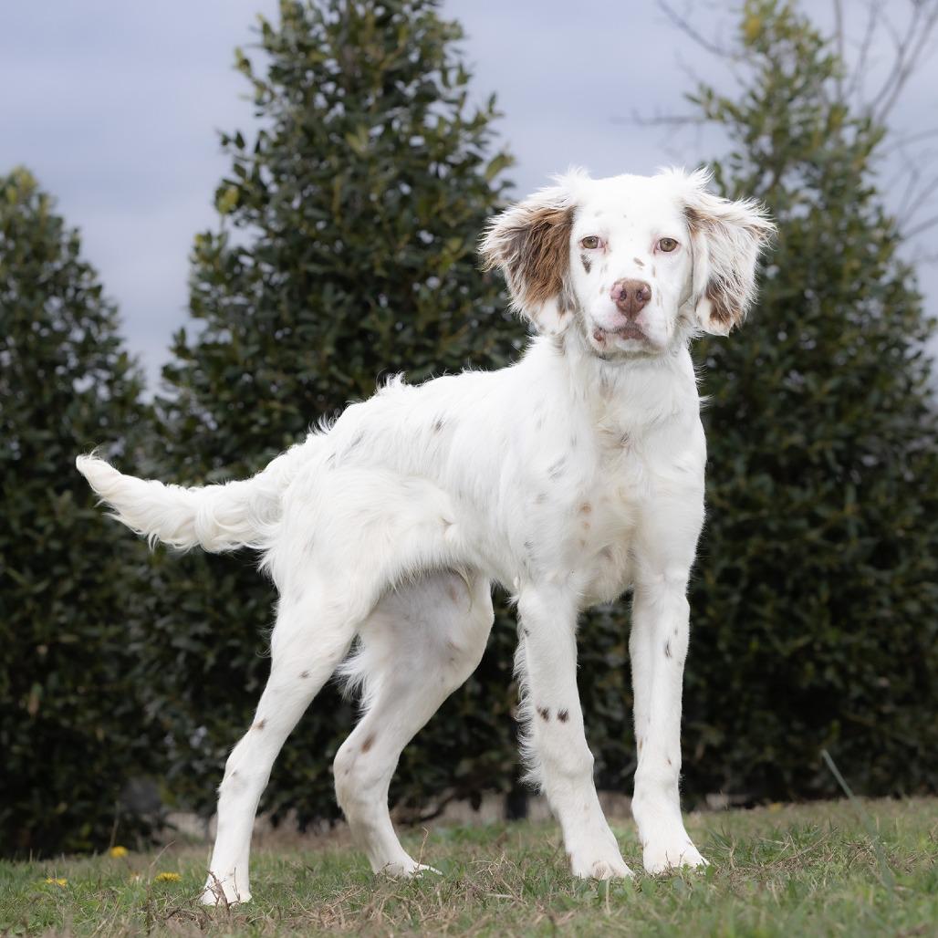 Rusty — thumbnail 2