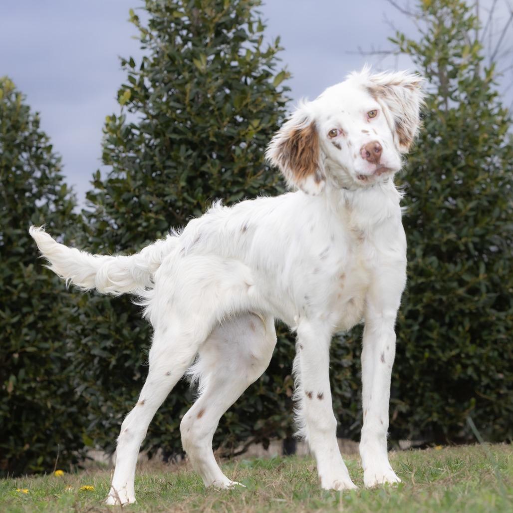 Rusty — thumbnail 3