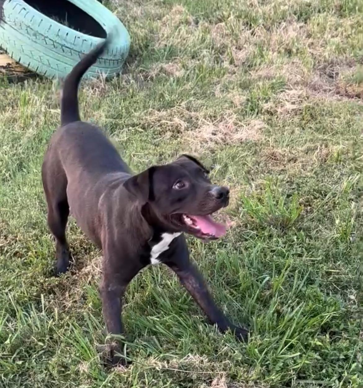 STERLING — thumbnail 2