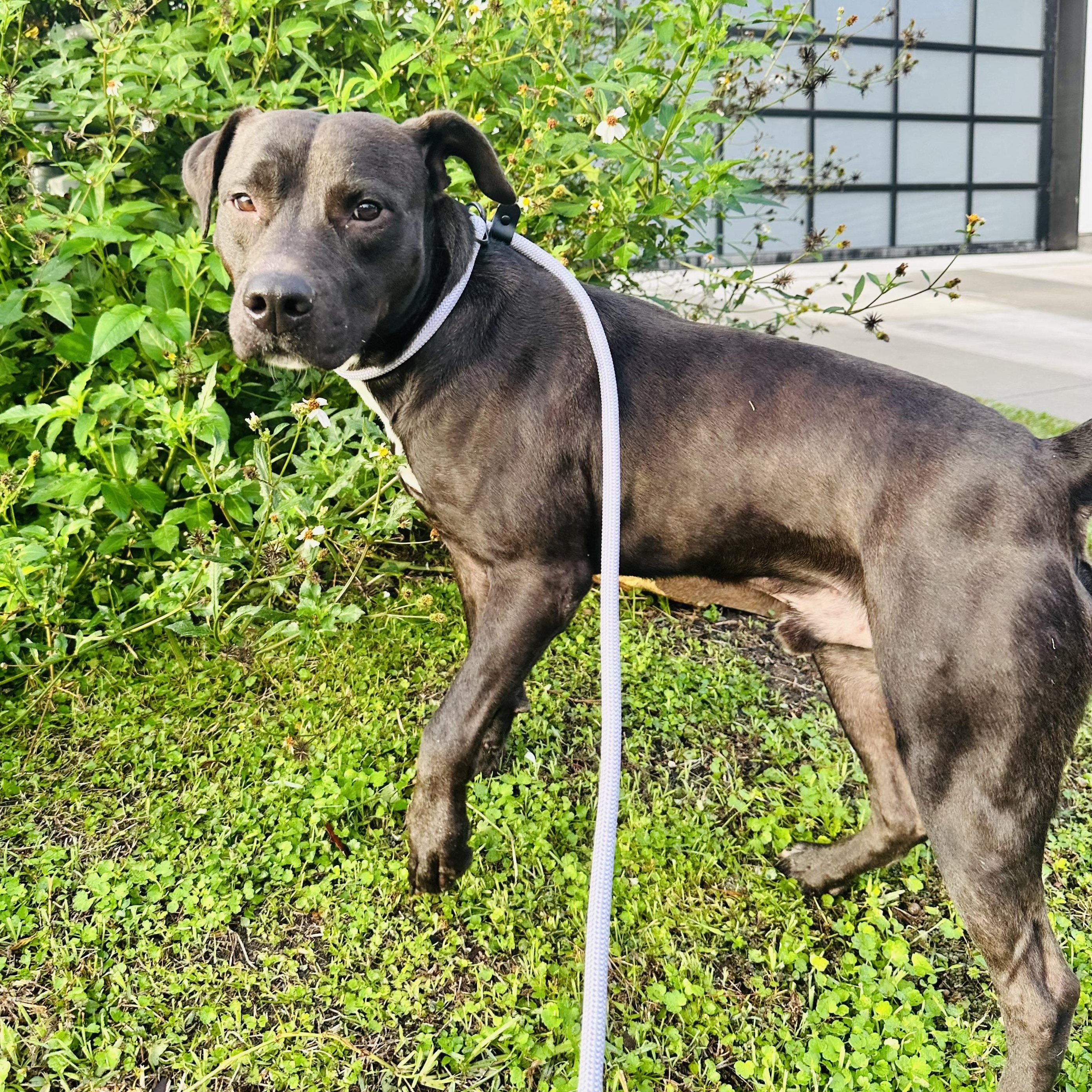 STERLING — thumbnail 3