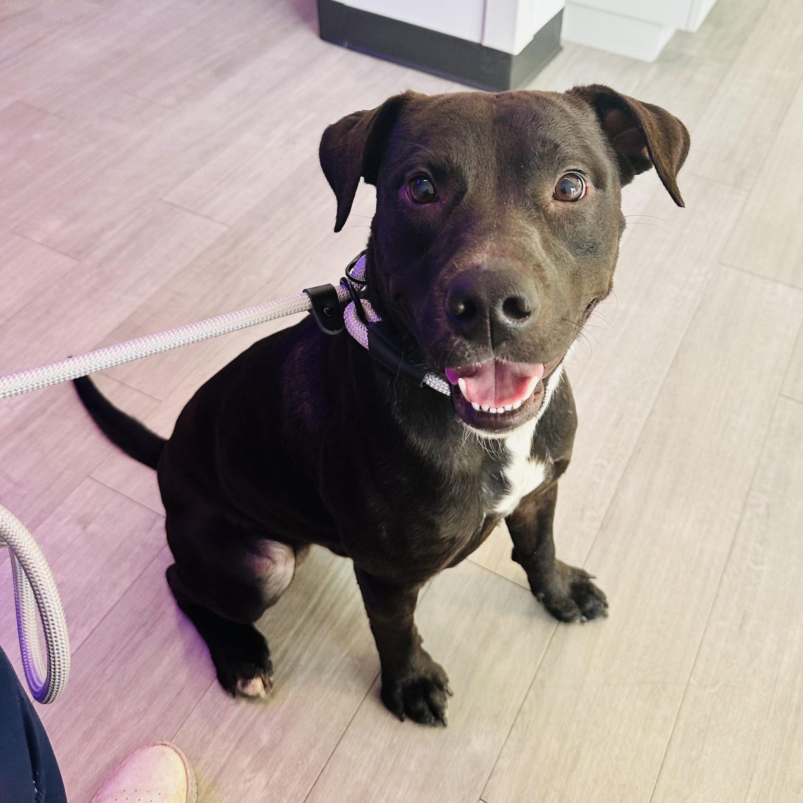 STERLING — thumbnail 5