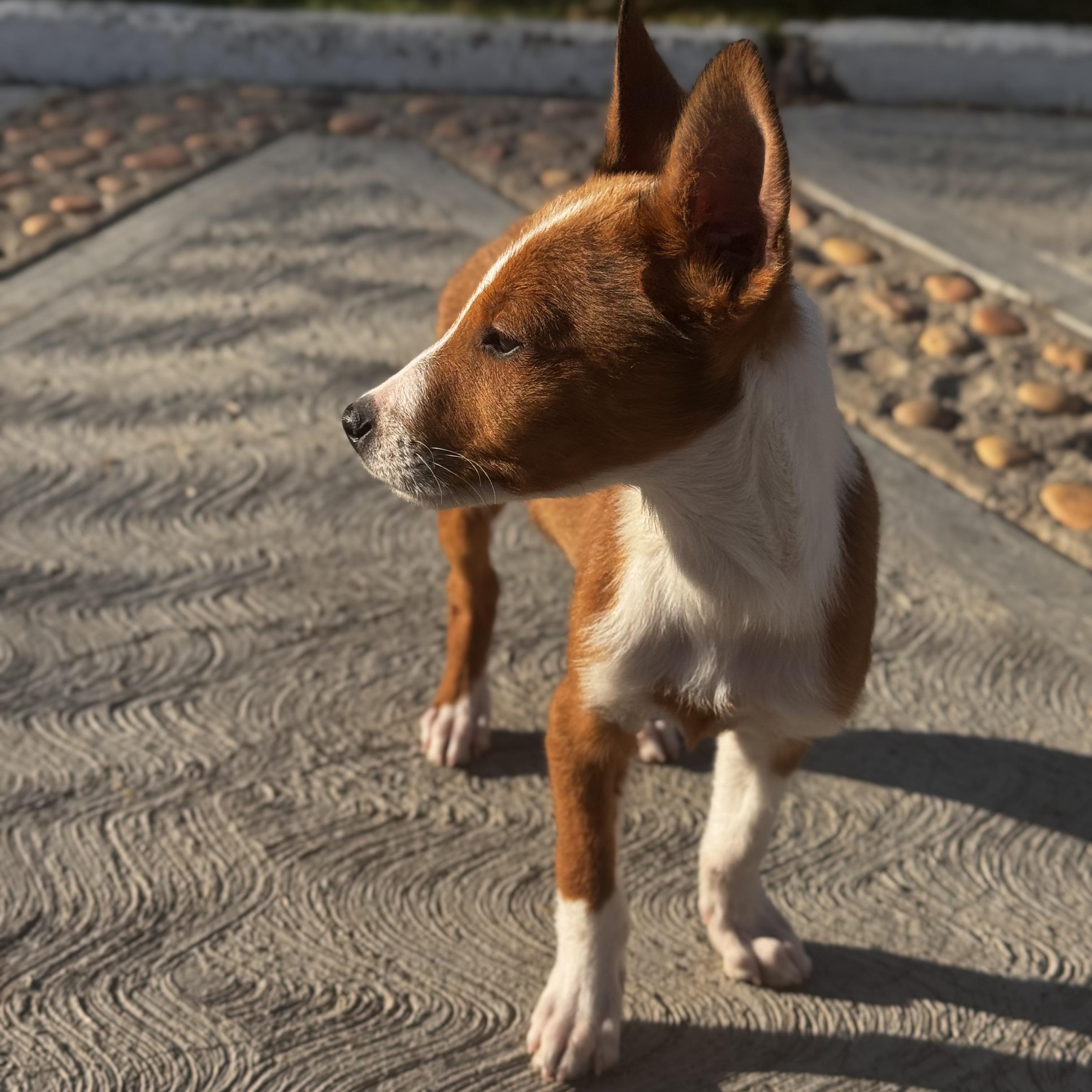 Eric — thumbnail 4