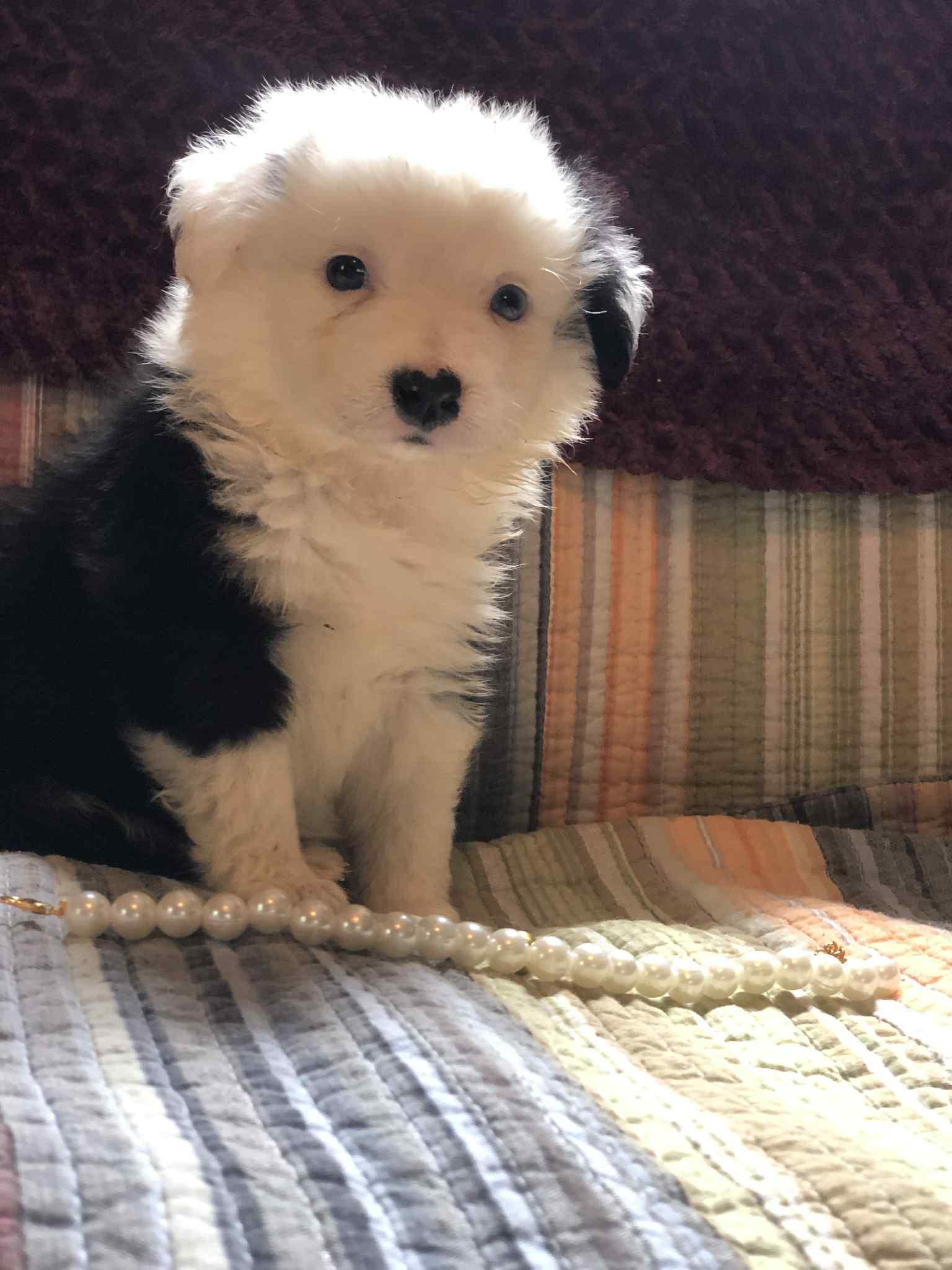 Julie