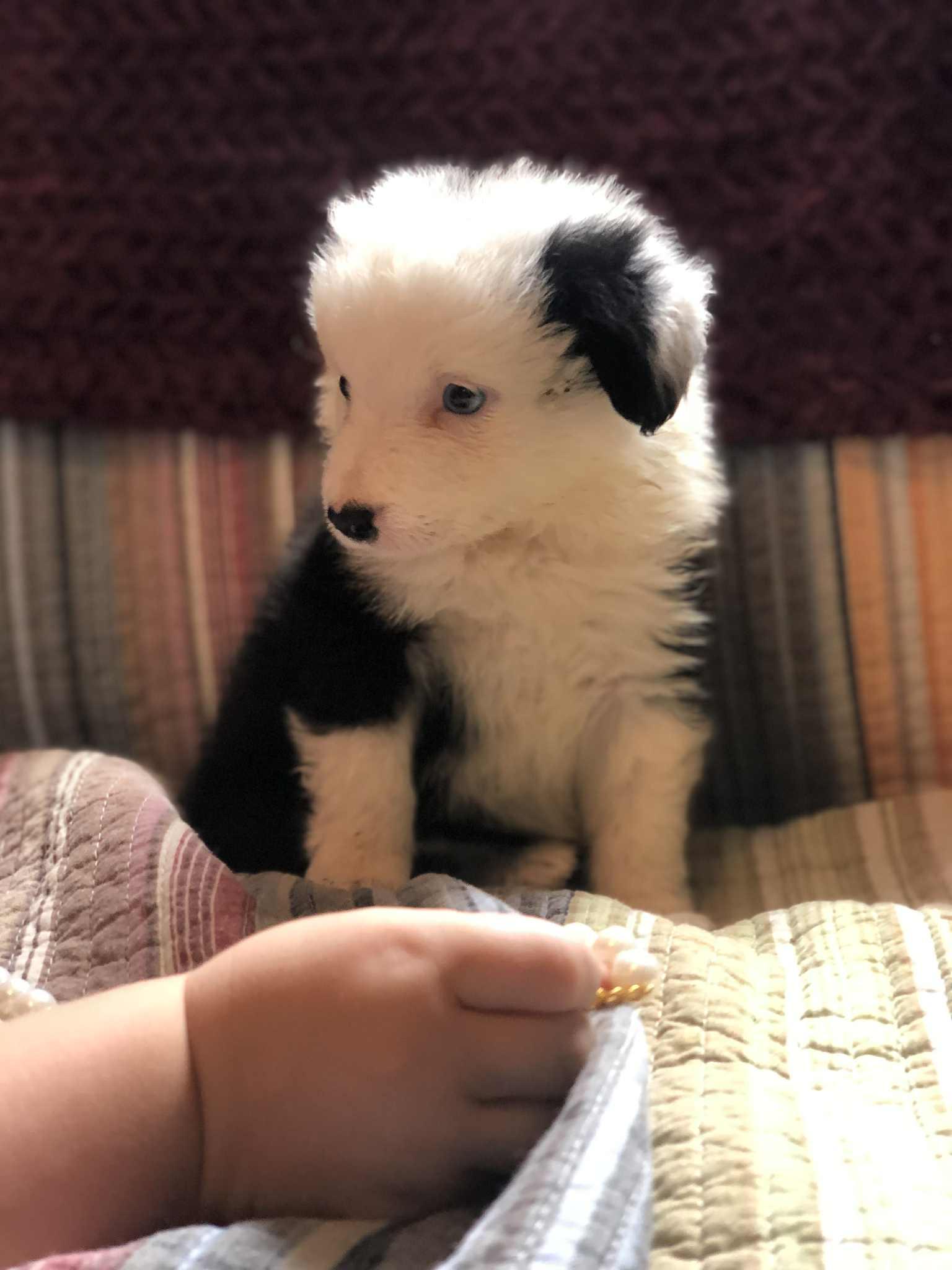 Julie