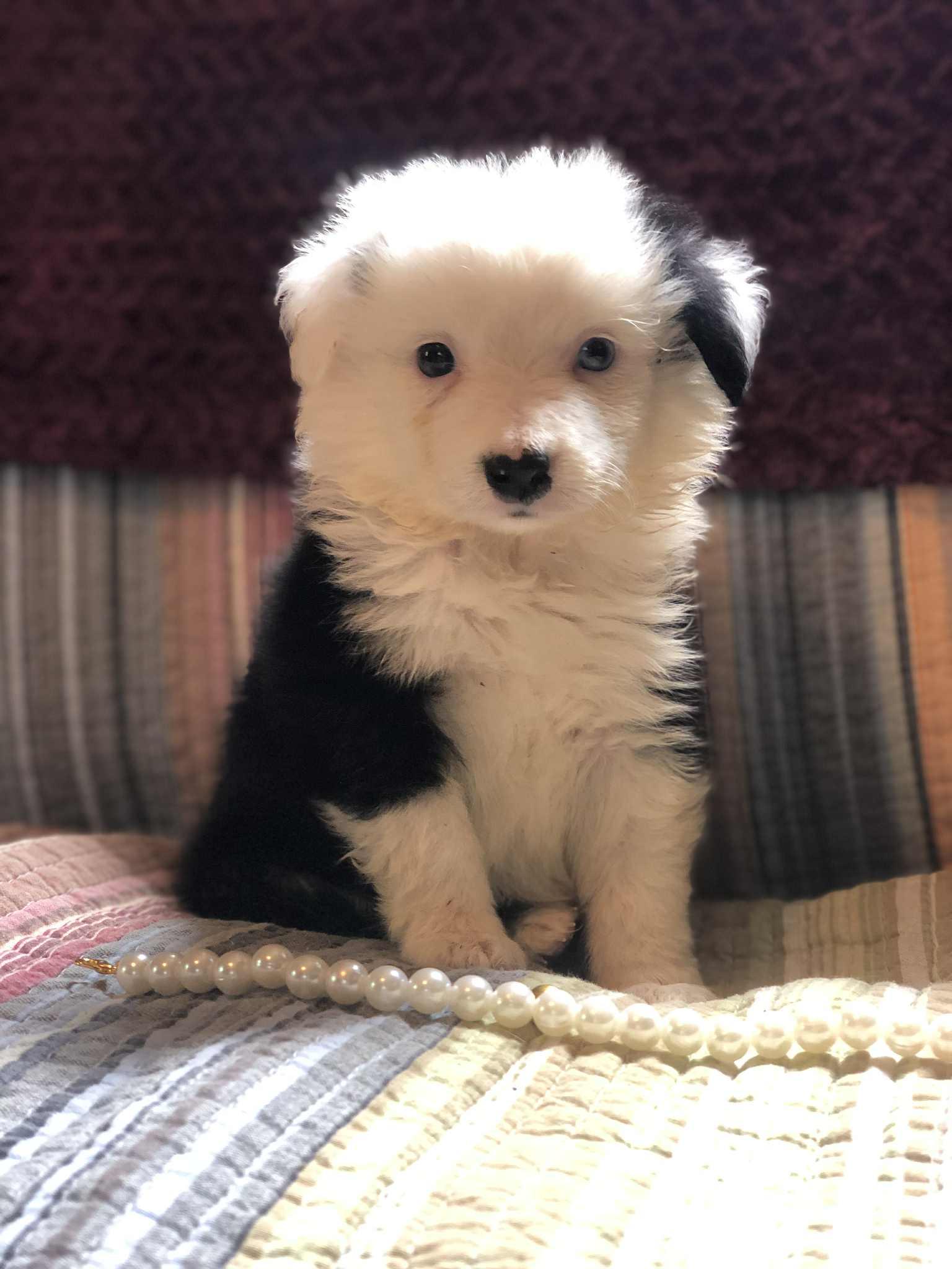 Julie