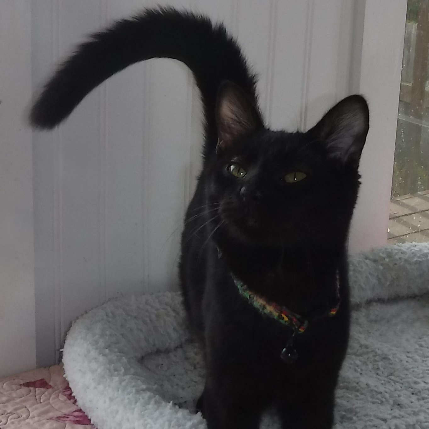 Sprite - Fun & Social