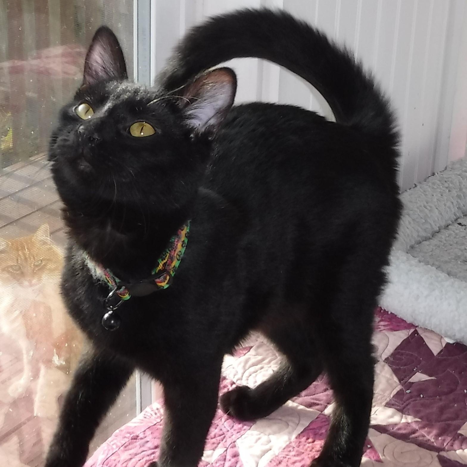 Sprite - Fun & Social