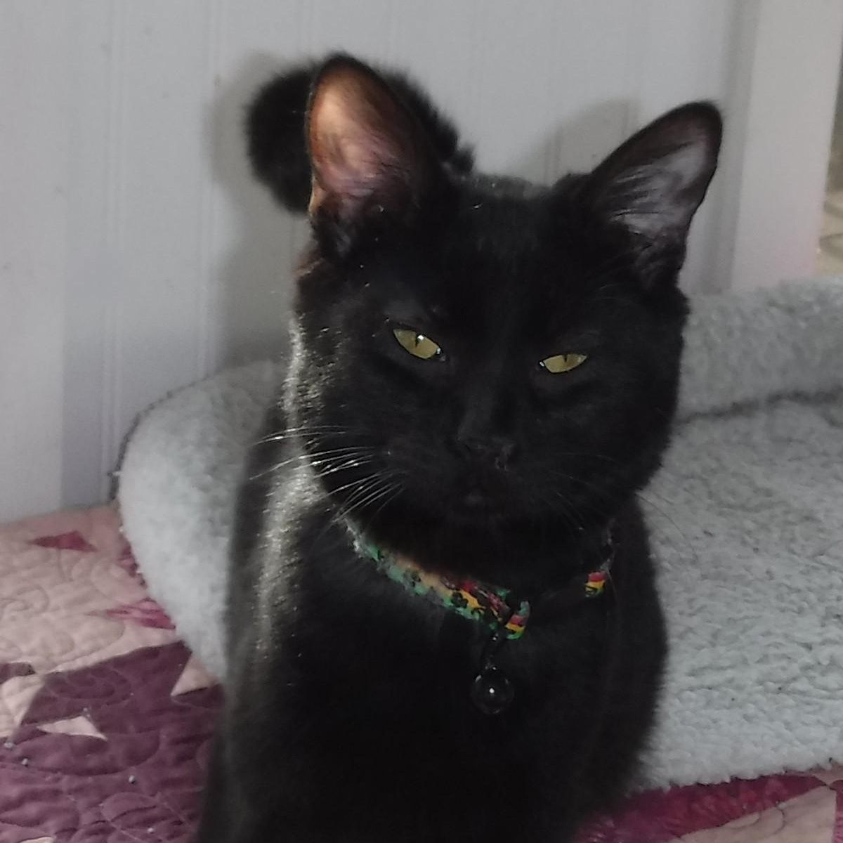 Sprite - Fun & Social