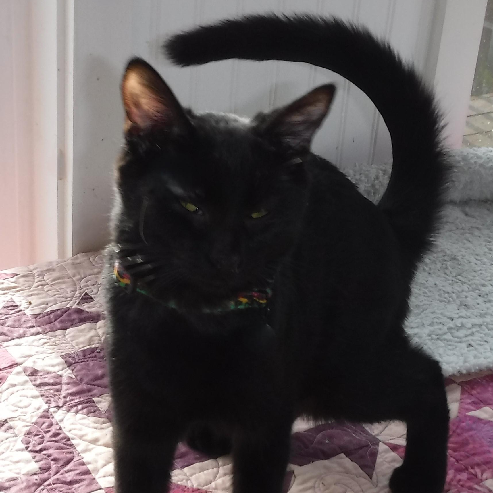 Sprite  Fun & thumbnail 3