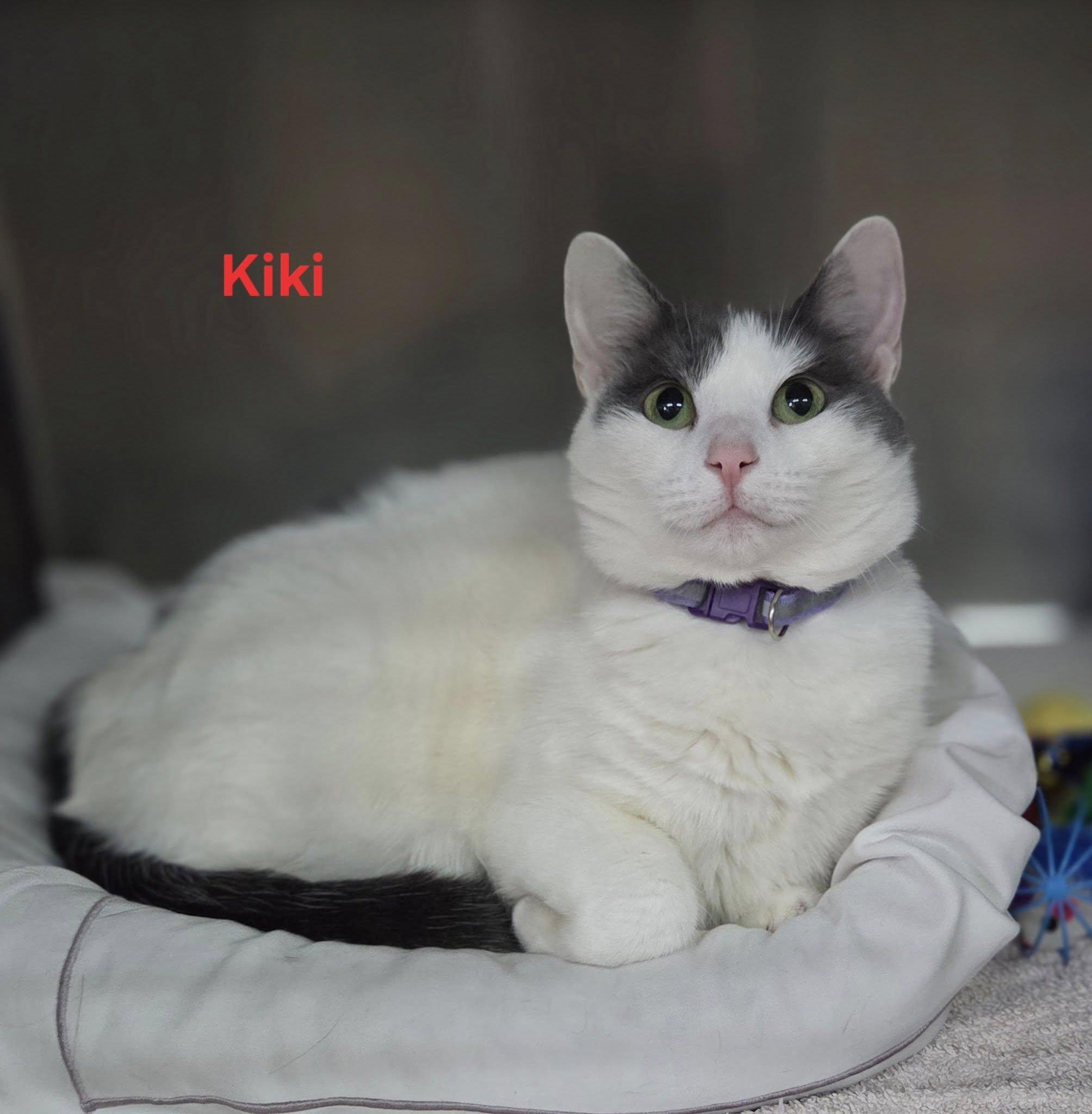 Kiki