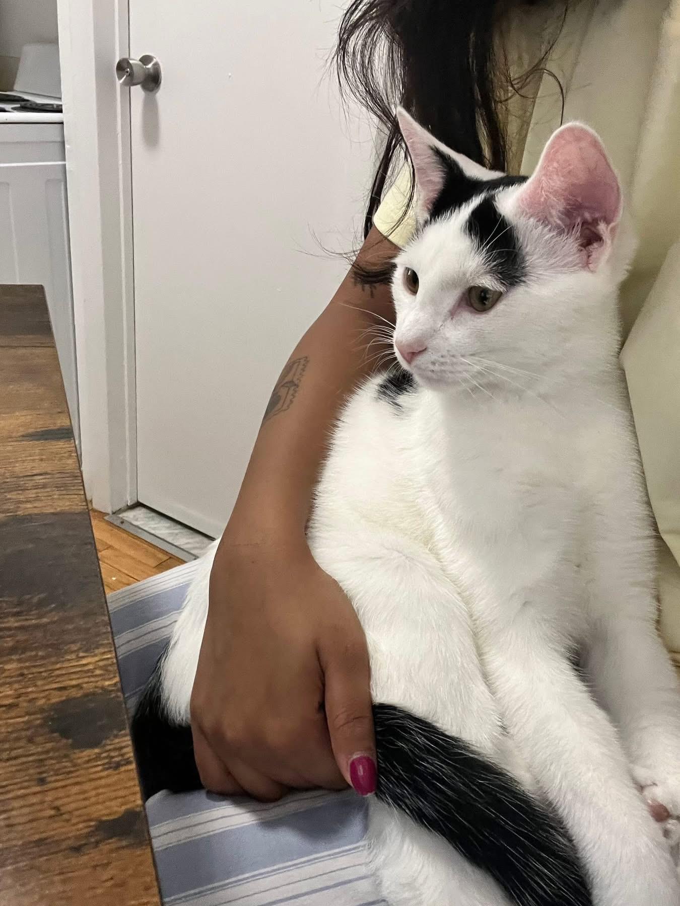 Jasper *foster needed*