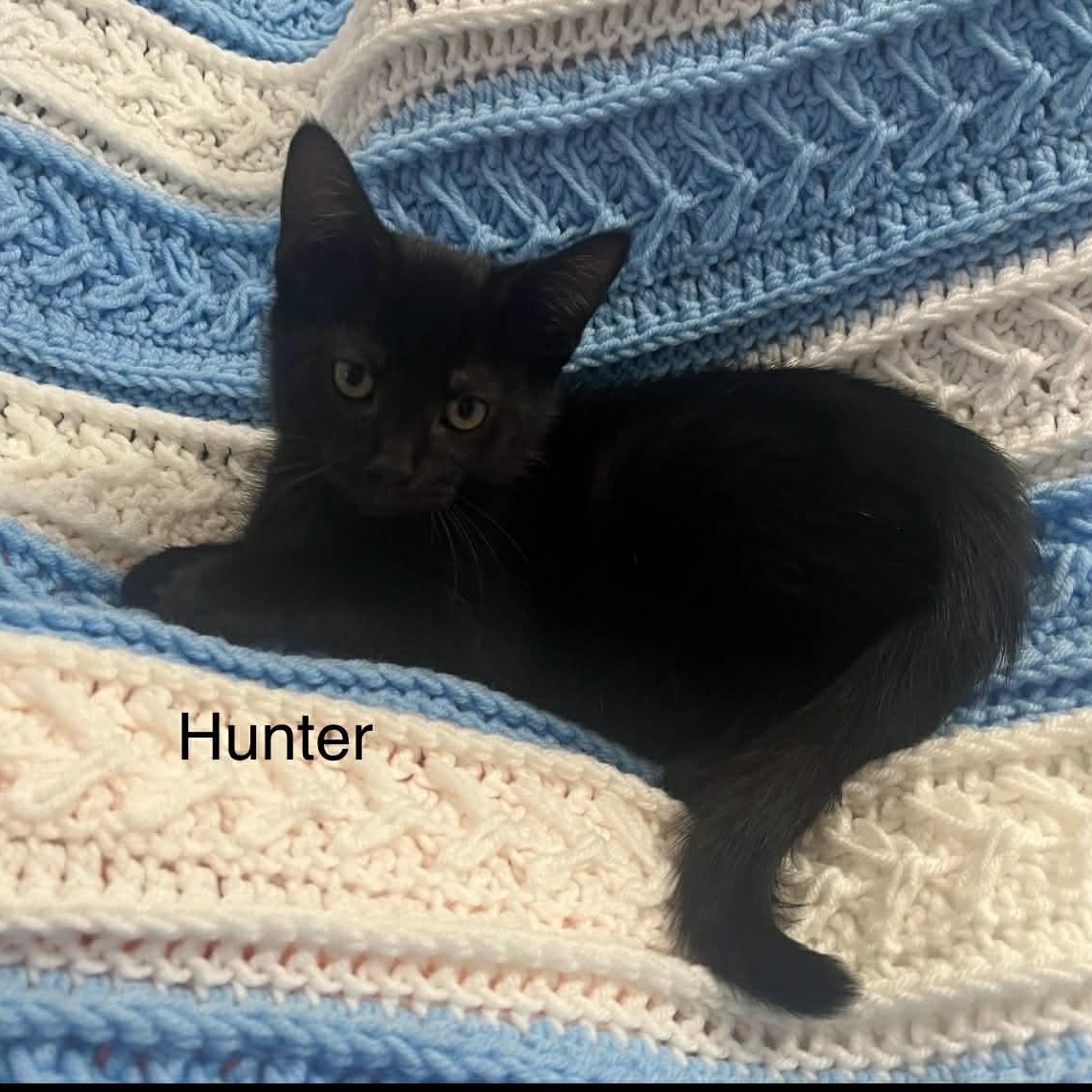 Hunter