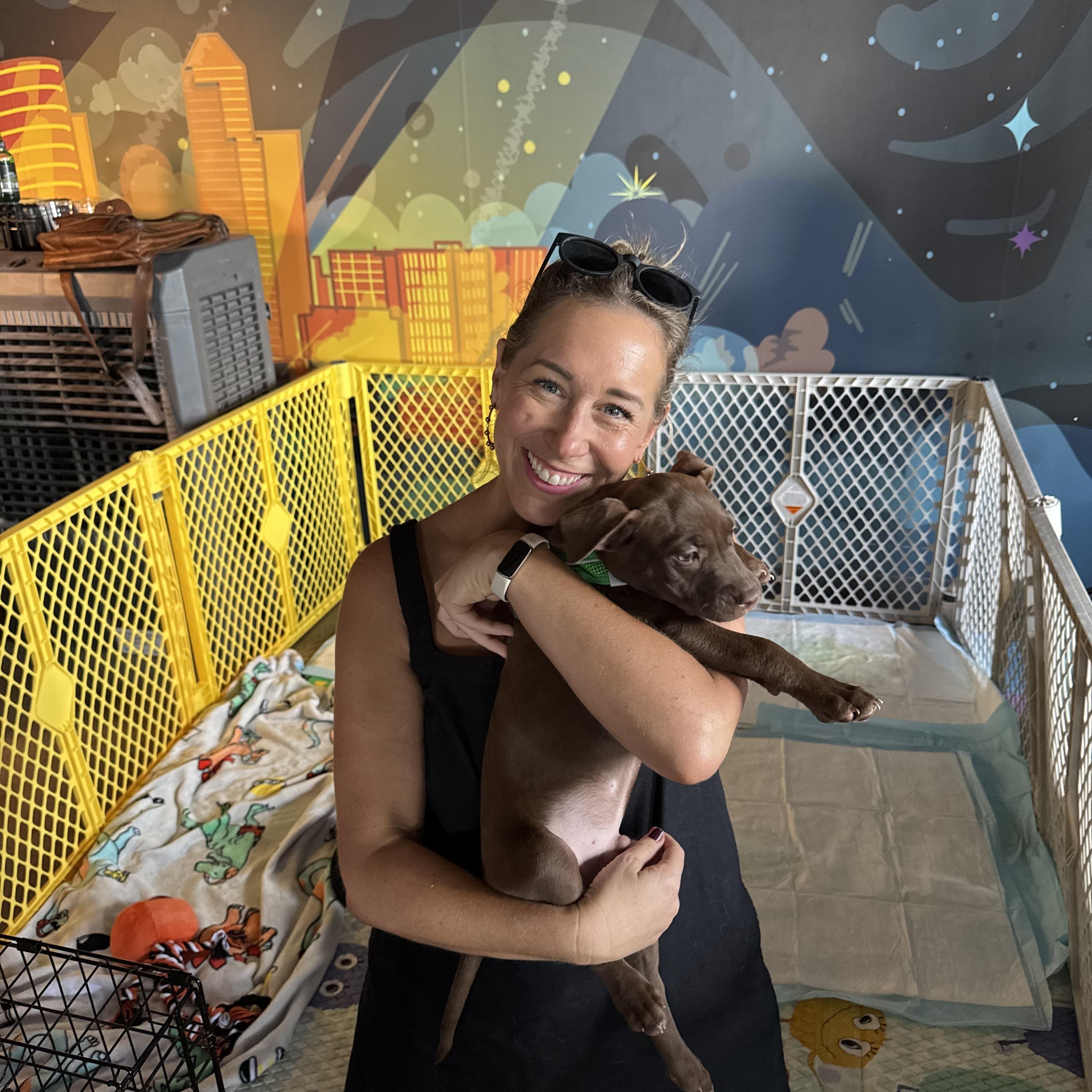 Enlarge Mango, a Adopted mixed breed in houston, TX image 4/6