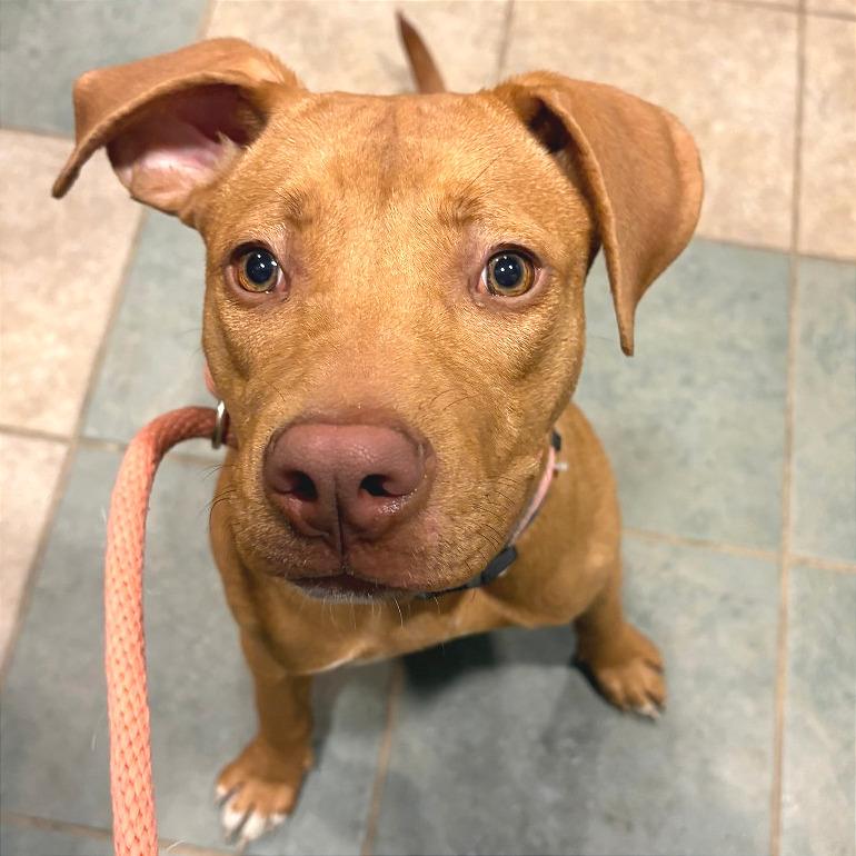 Missy — thumbnail 2