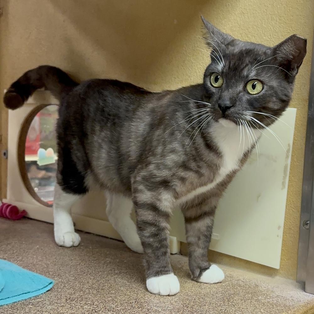 Sassy Pants — thumbnail 2