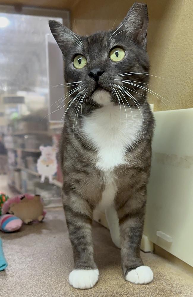 Sassy Pants — thumbnail 3