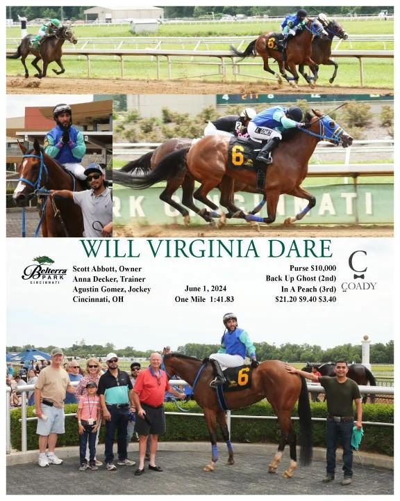 Will Virginia Dare, a Adopted Thoroughbred in Nicholasville, KY image 3/3