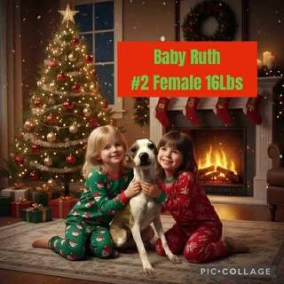 Baby Ruth thumbnail 2