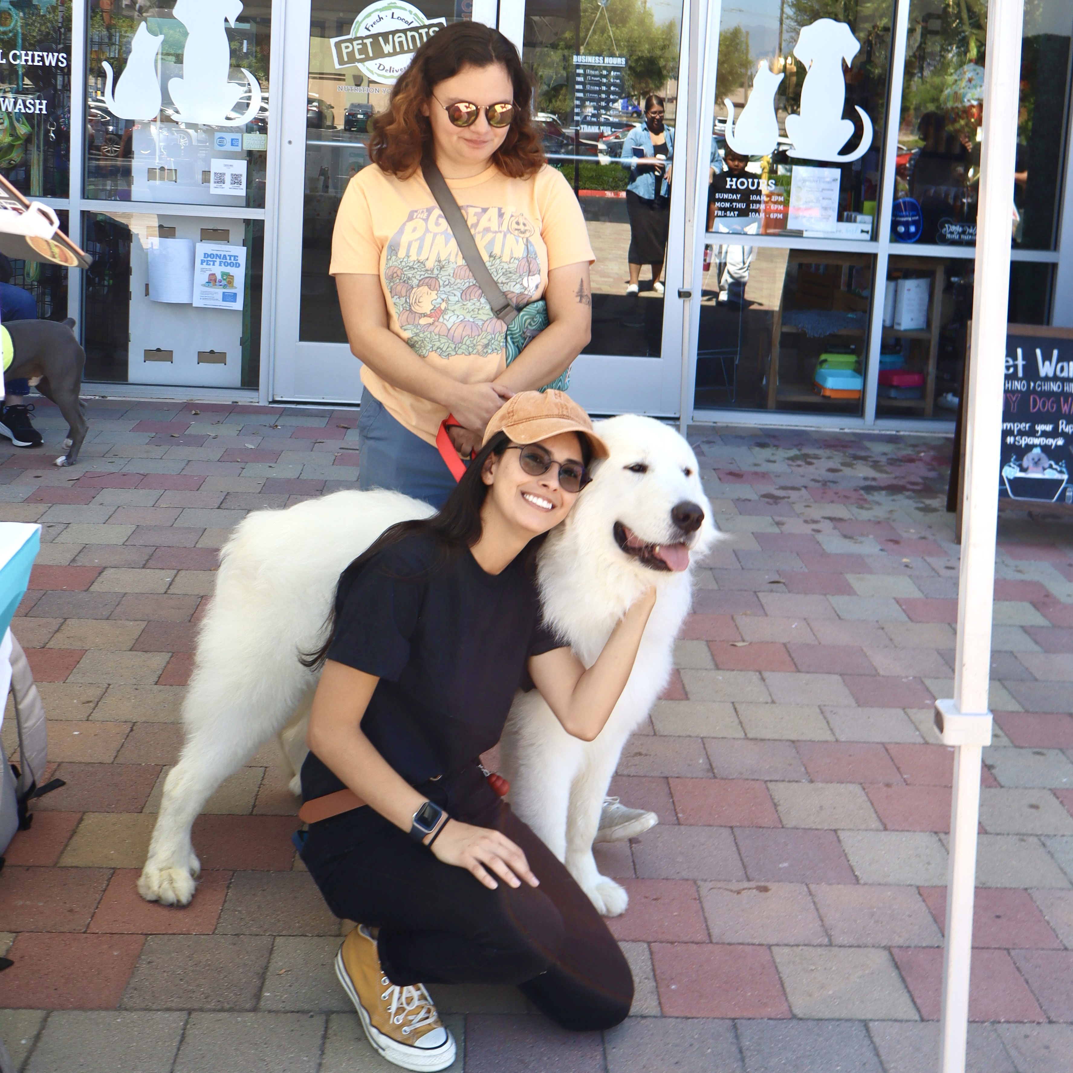 DUDE, an adoptable Great Pyrenees in Ontario, CA image 2/5